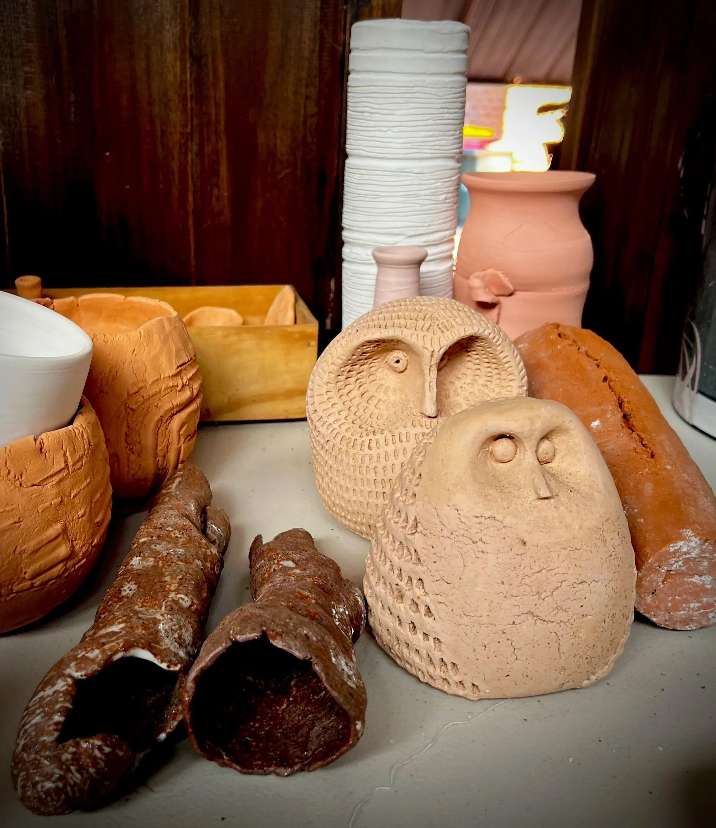 Two clay owls, unfinished, resting beside various other vases, and pots in a pottery studio.
