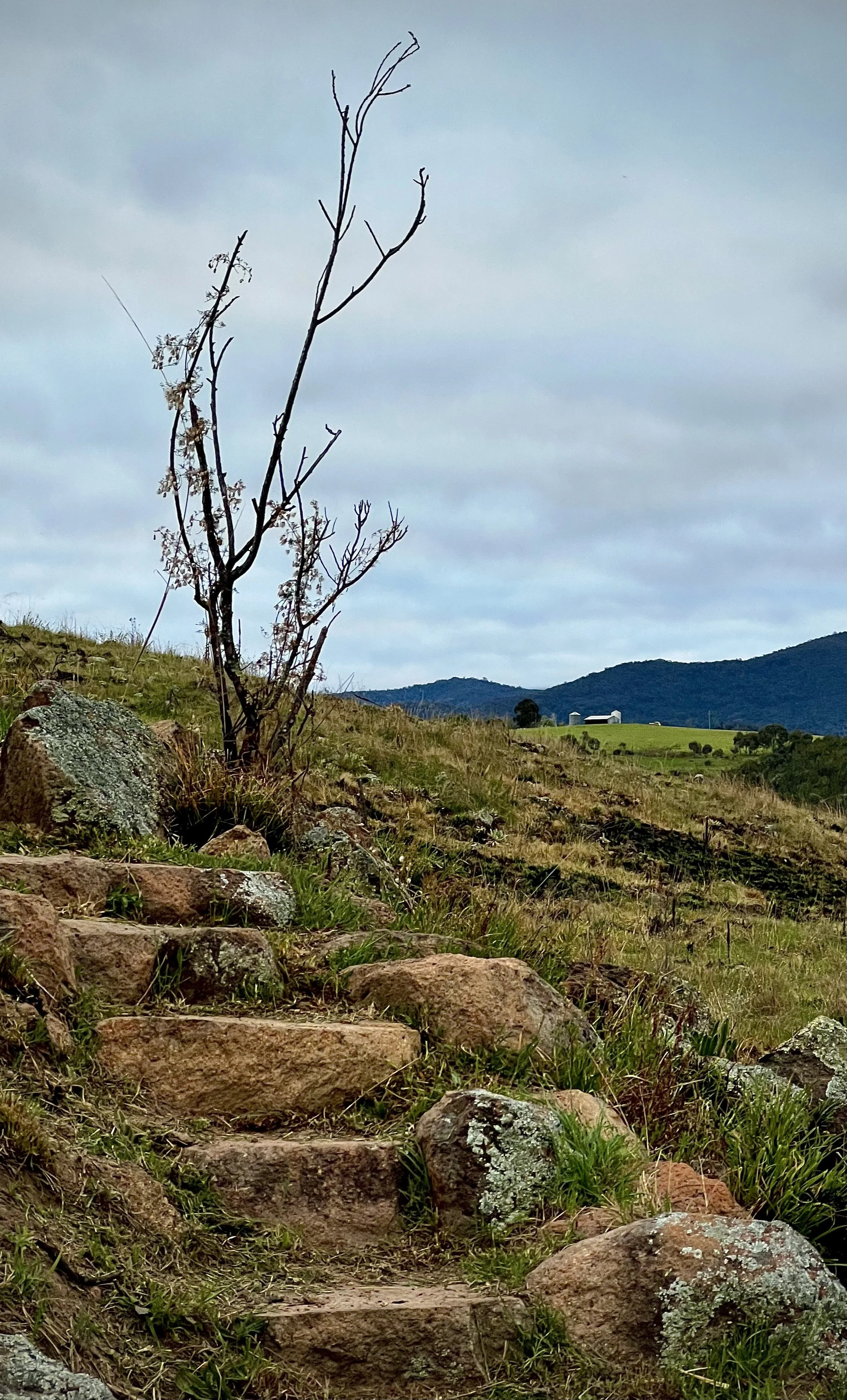 Rough stone steps climb a grassy, rocky hillside, beside a sparse tree, with a barn and silos on a distant hill under a grey cloudy sky.