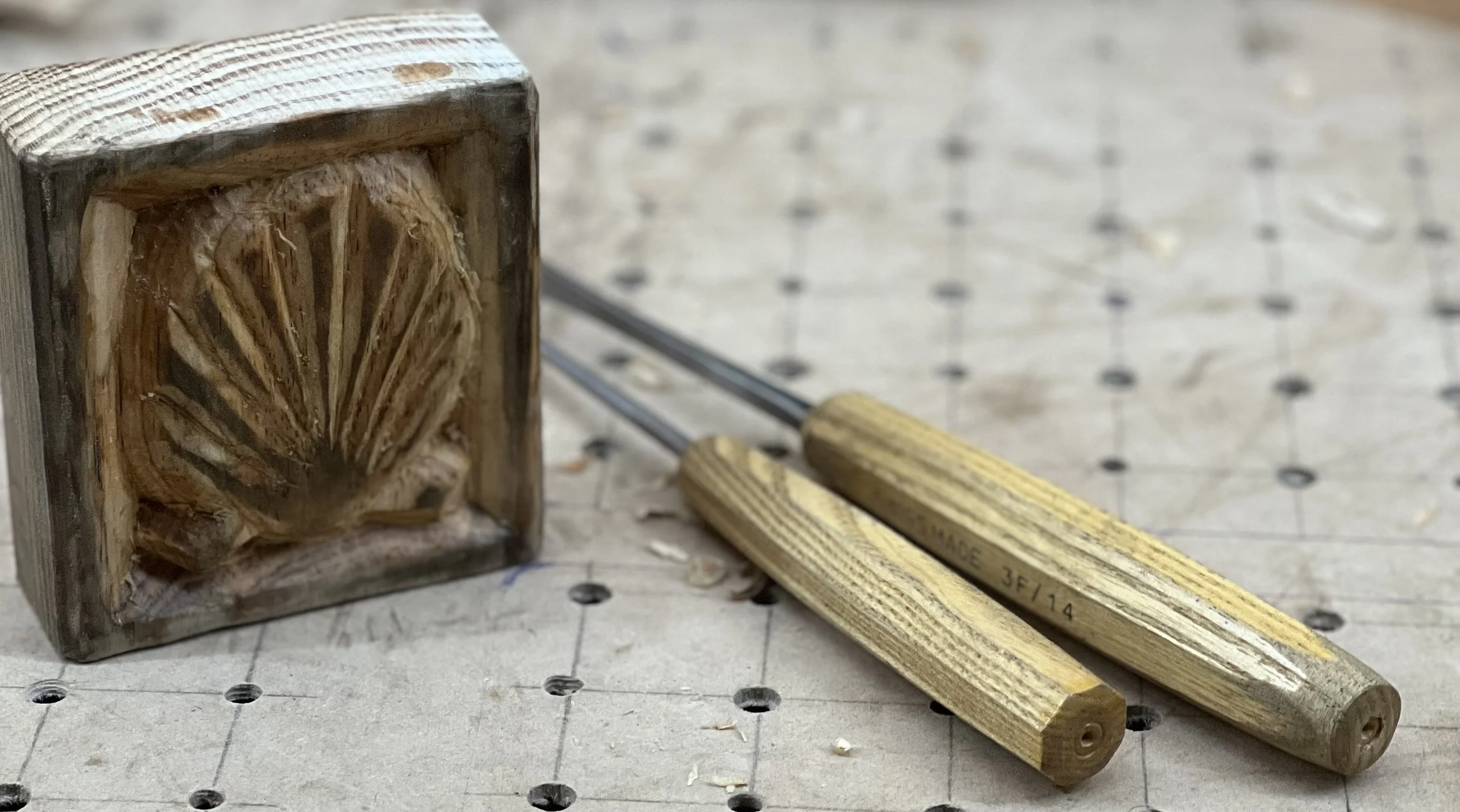 Hand-carved scallop shell symbolising reflection, self-awareness, and the inner path of ethical facilitation