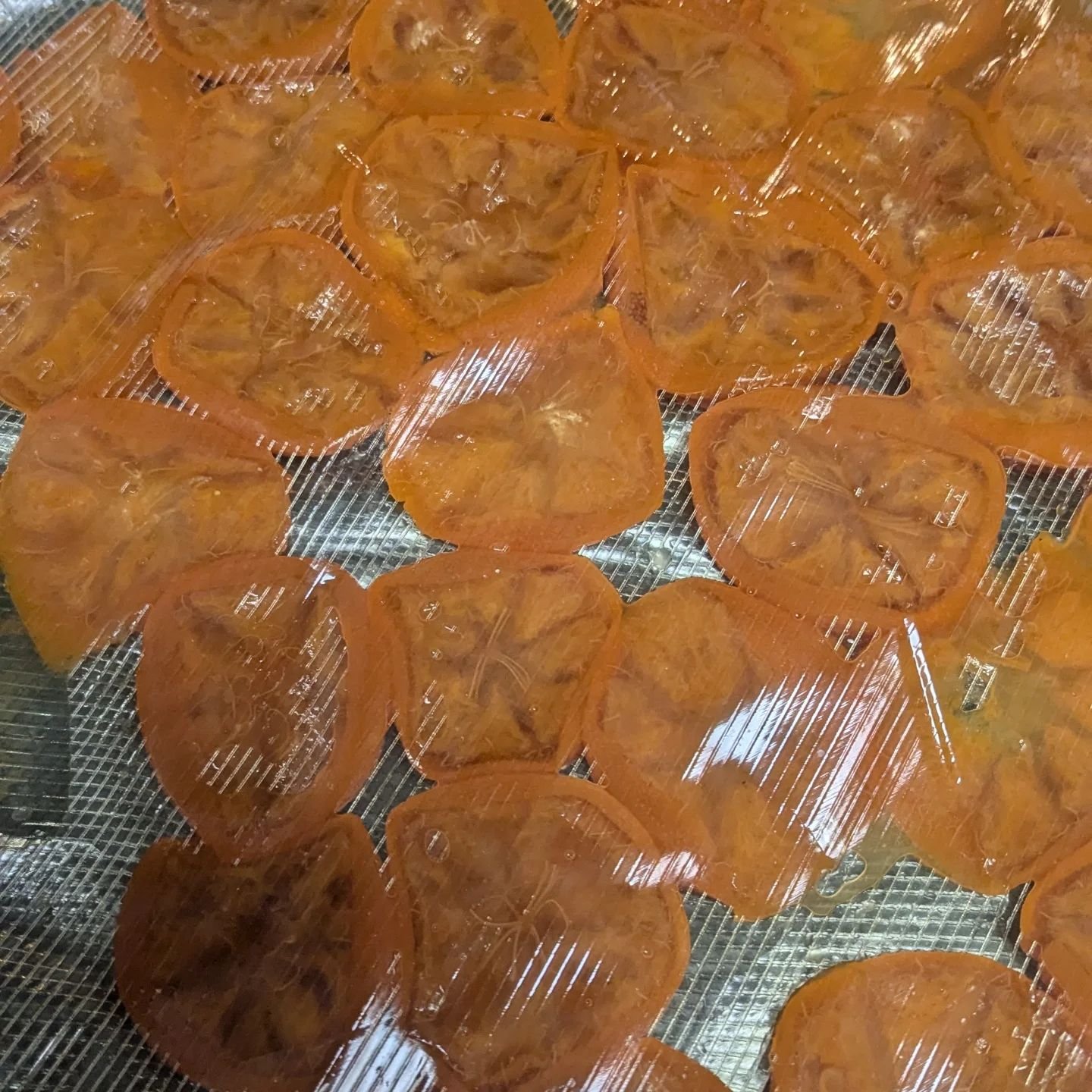 16 month fermented kumquat BANGER!
Reminds me of a warm salted honey lemon drink
3% salt 1.5% sugar left in a cool dark place
Sealed in a vac pack bag

#fermentedfoods #fermentation #ferment #kumquat #pickling #pickles