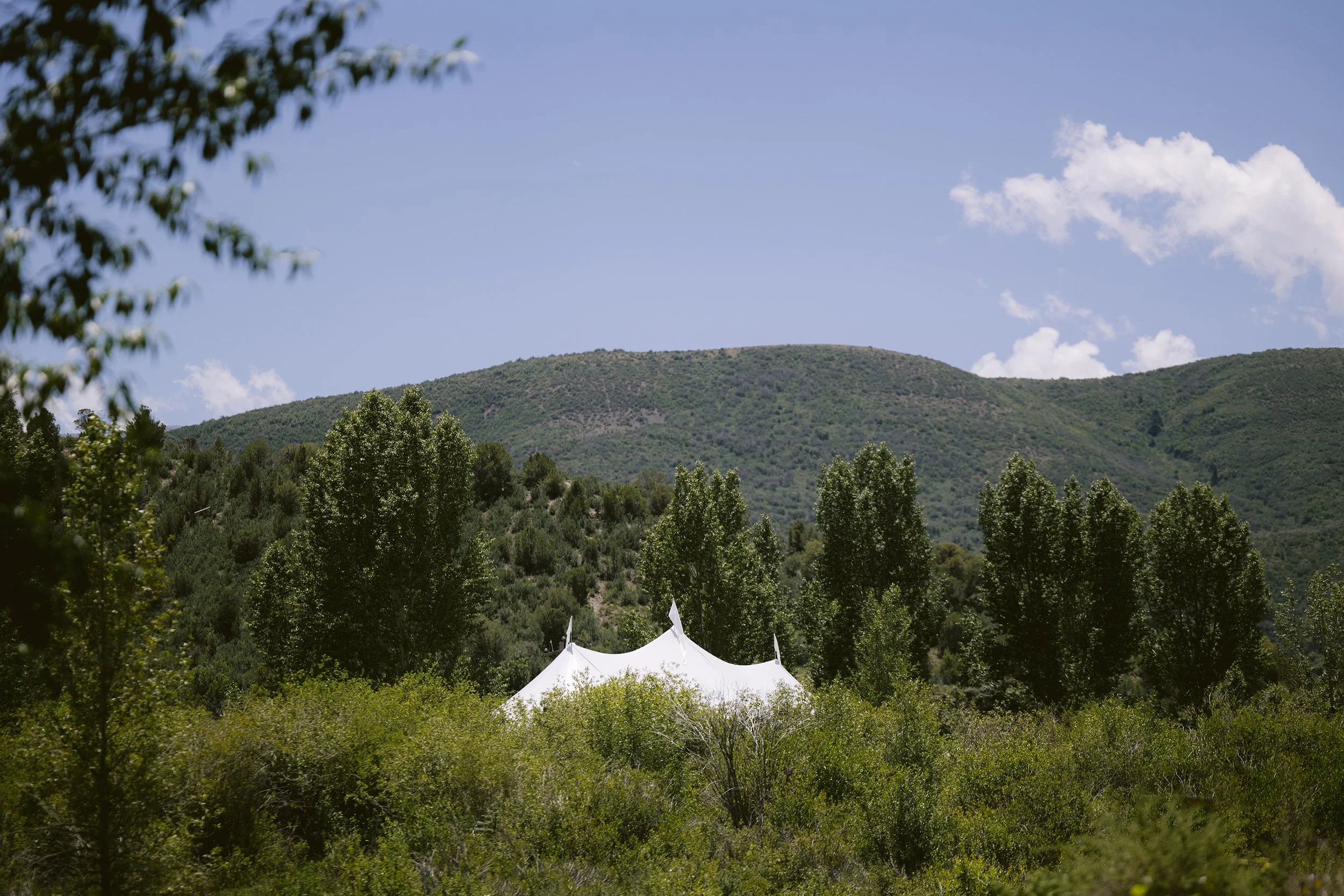 Anna Ray 2024SM_00130.jpg