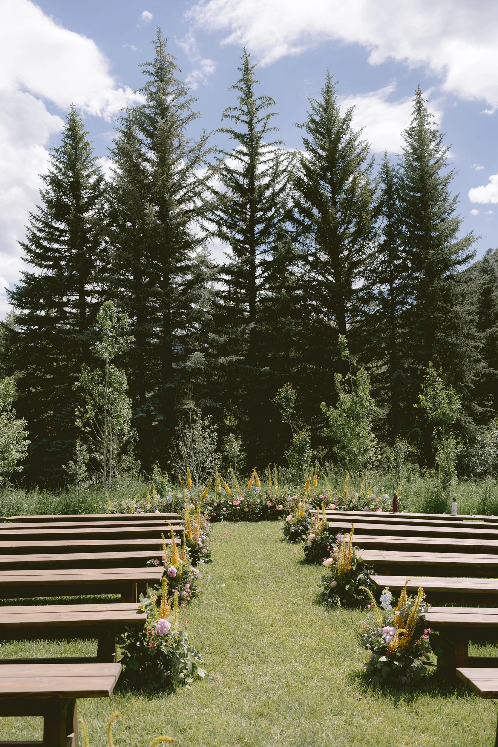 Anna Ray 2024SM_00043.jpg