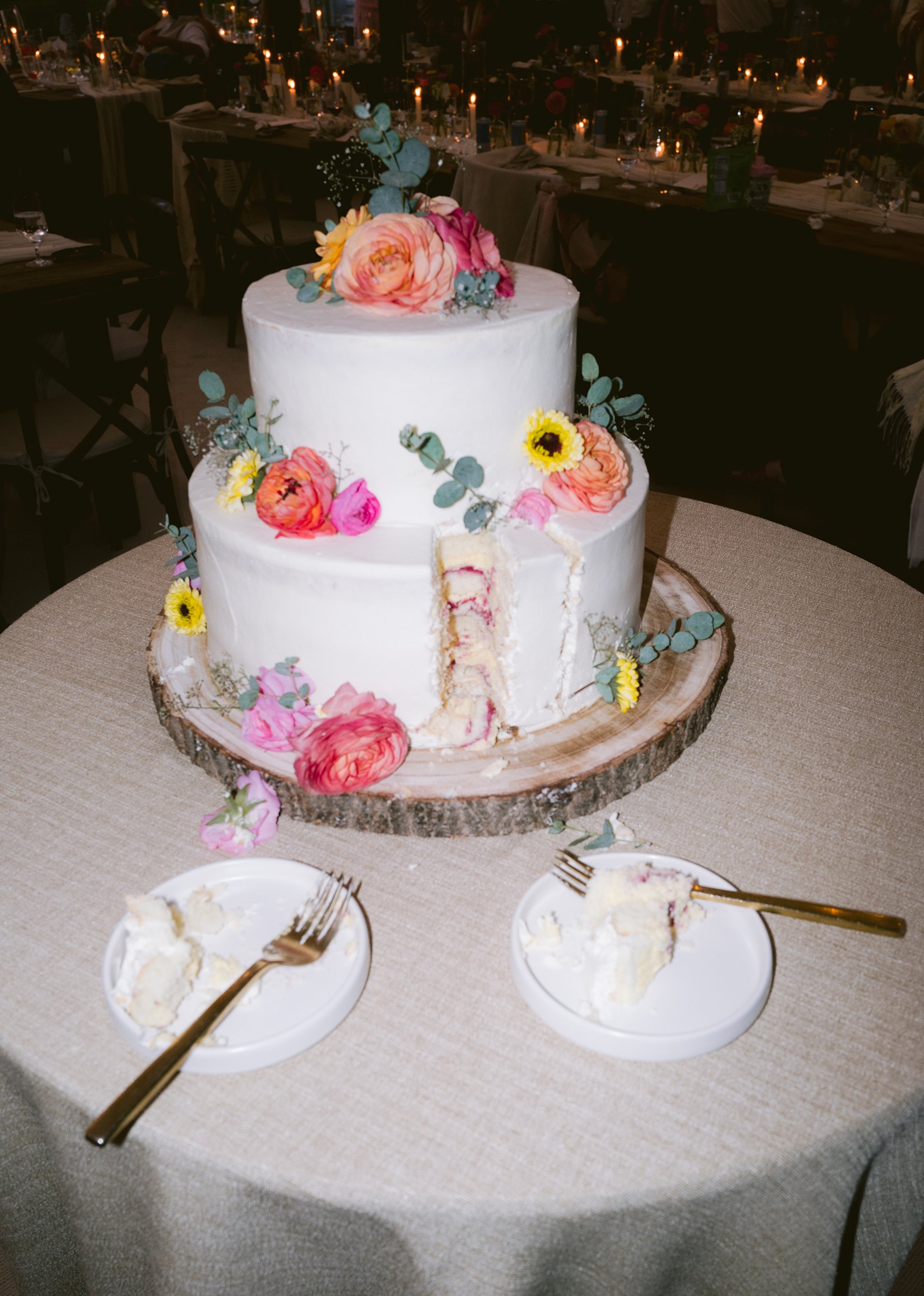 Anna Ray 2024SM_00116.jpg