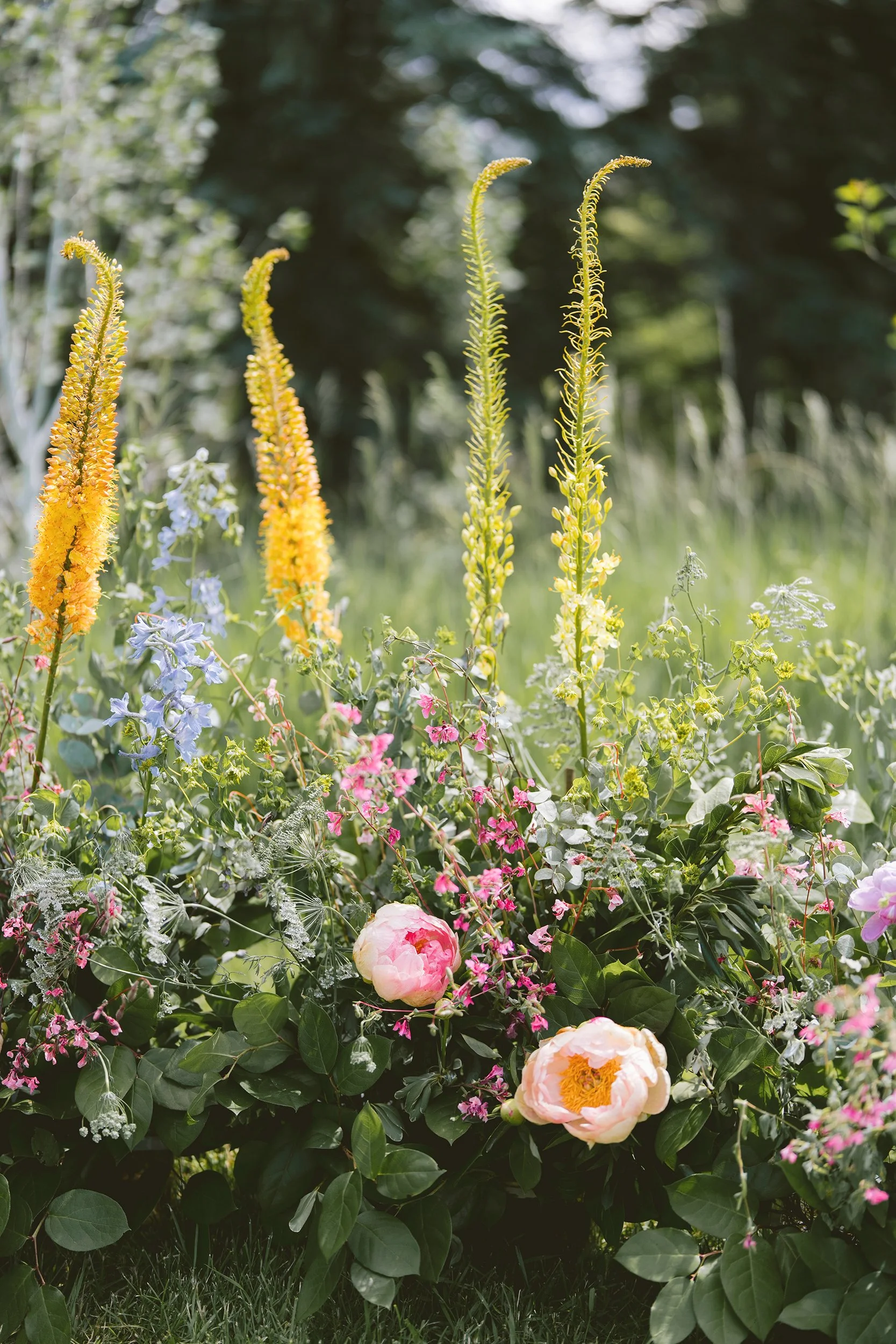 Anna Ray 2024SM_00524.jpg