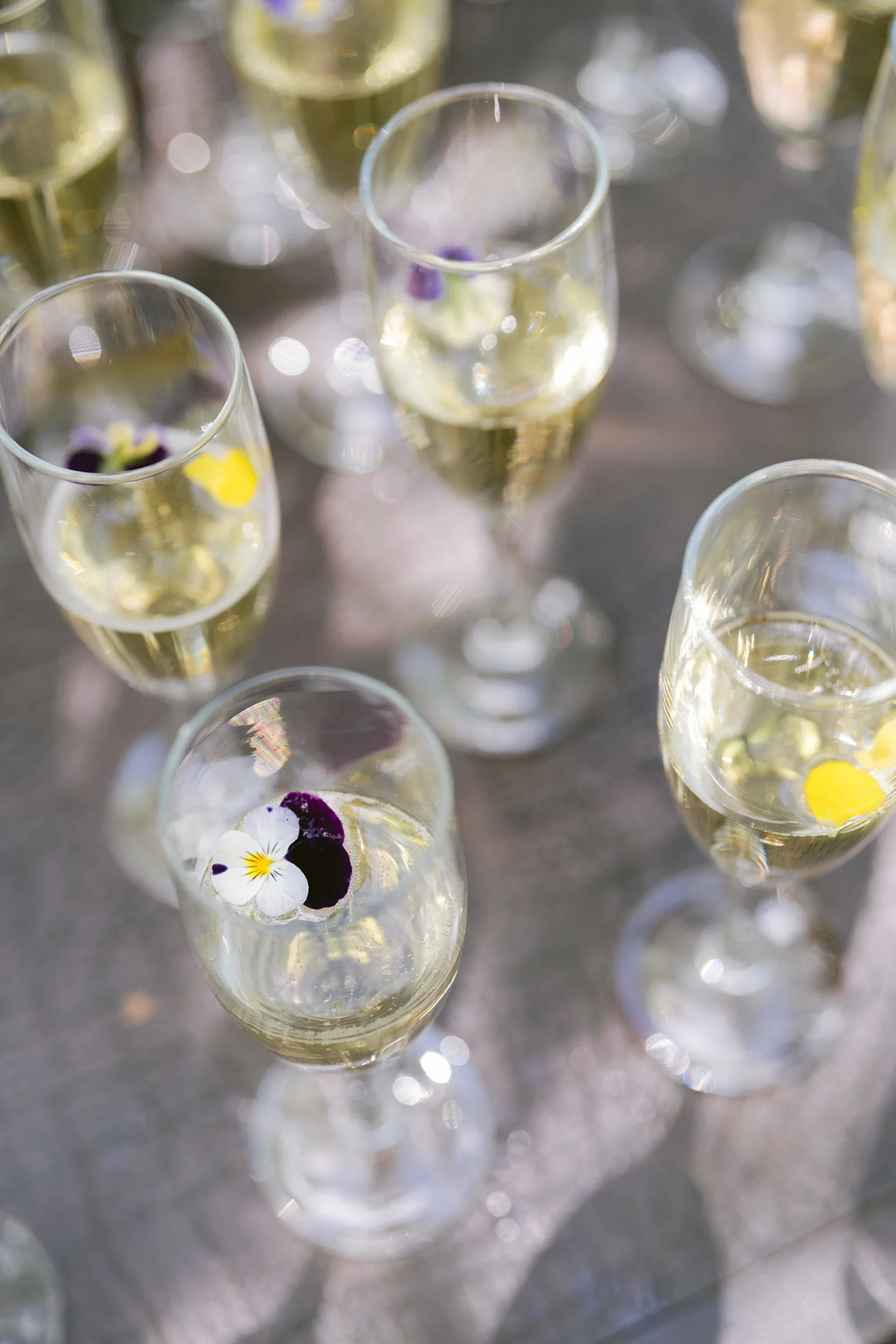 Anna Ray 2024SM_00041.jpg