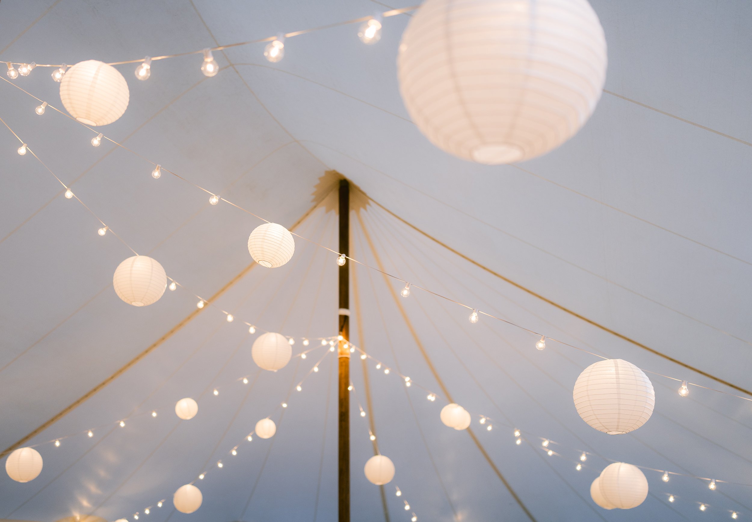 Anna Ray 2024SM_00901.jpg