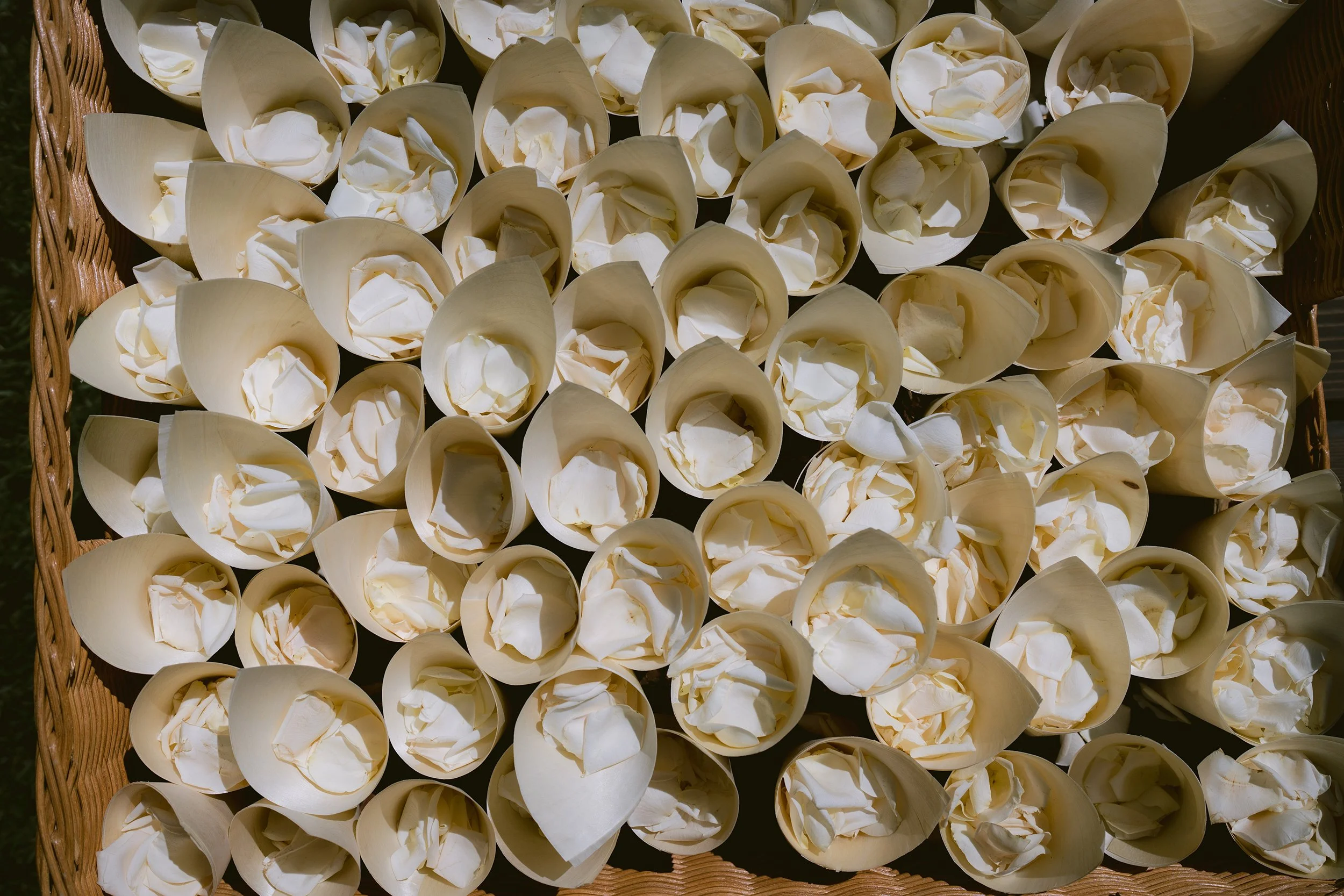 Anna Ray 2024SM_00042.jpg