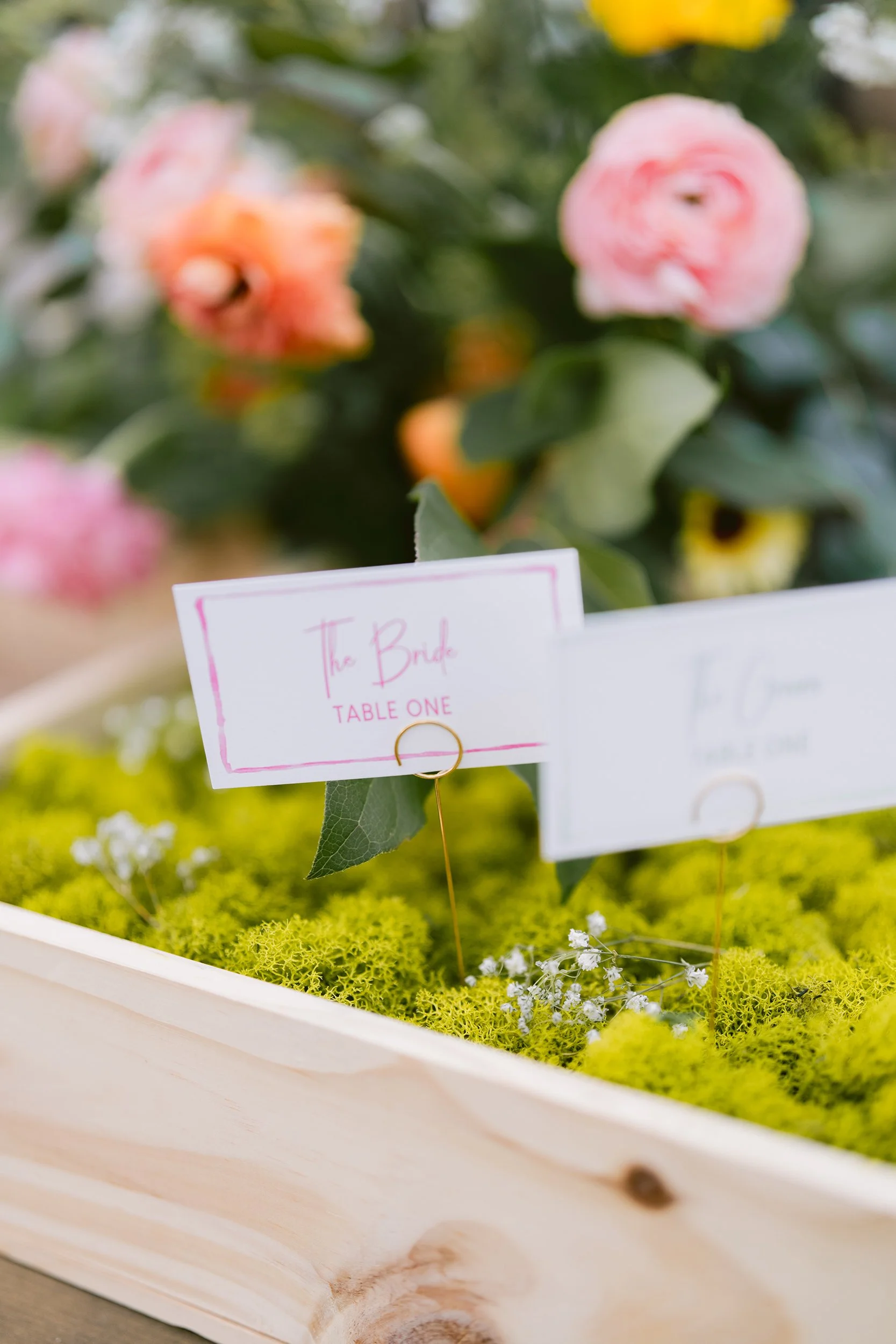 Anna Ray 2024SM_00105.jpg