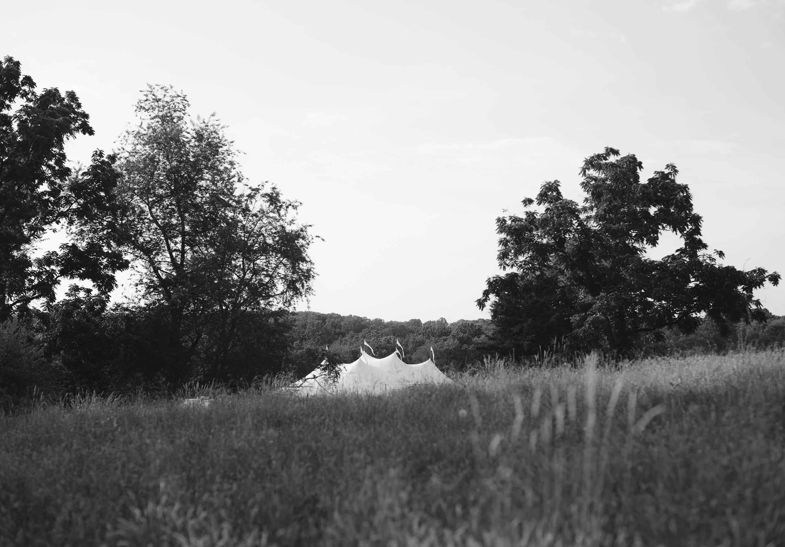 Al Gus Wedding 2022 SM_1203.jpg