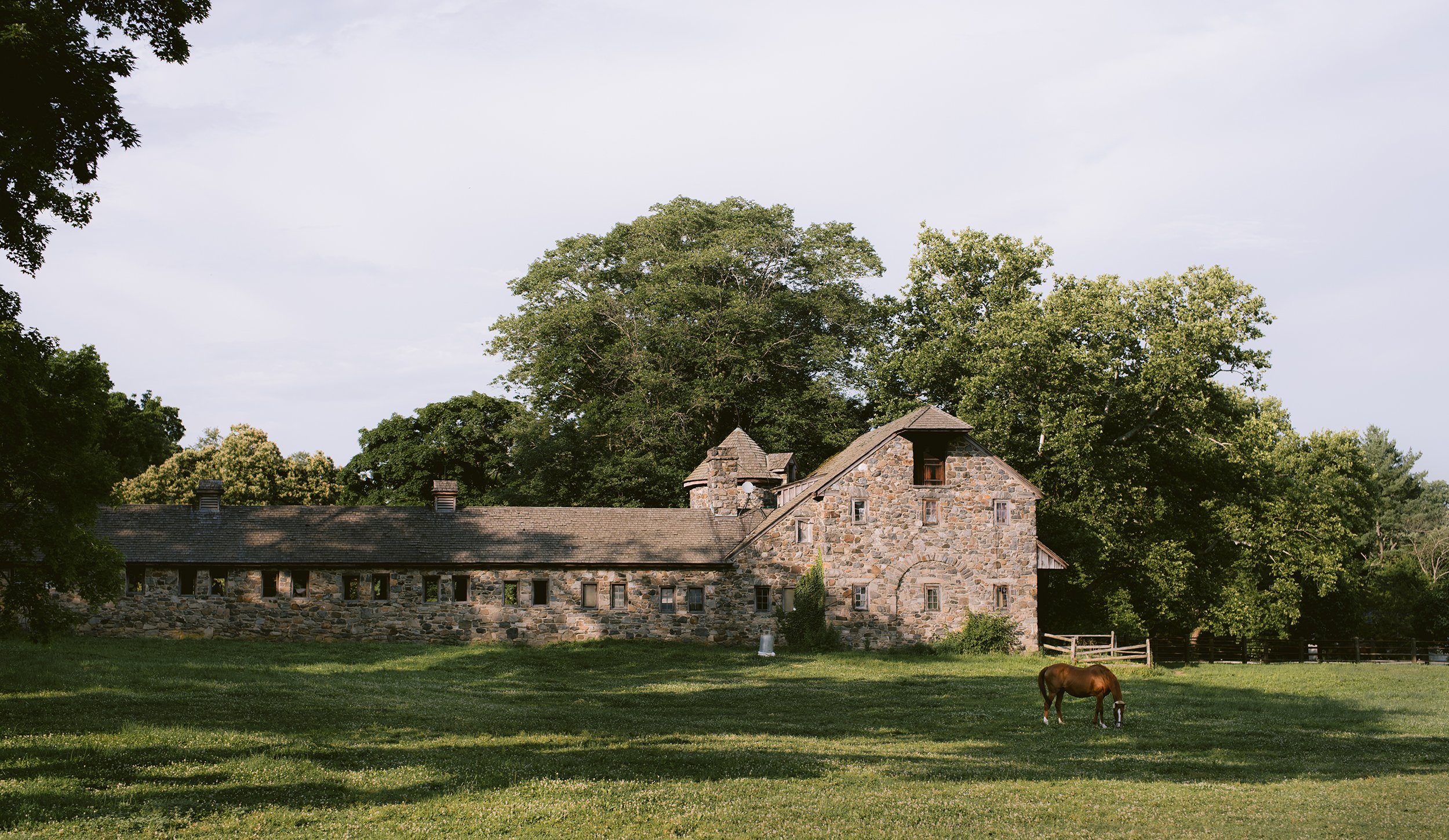 Al Gus Wedding 2022 SM_1208.jpg