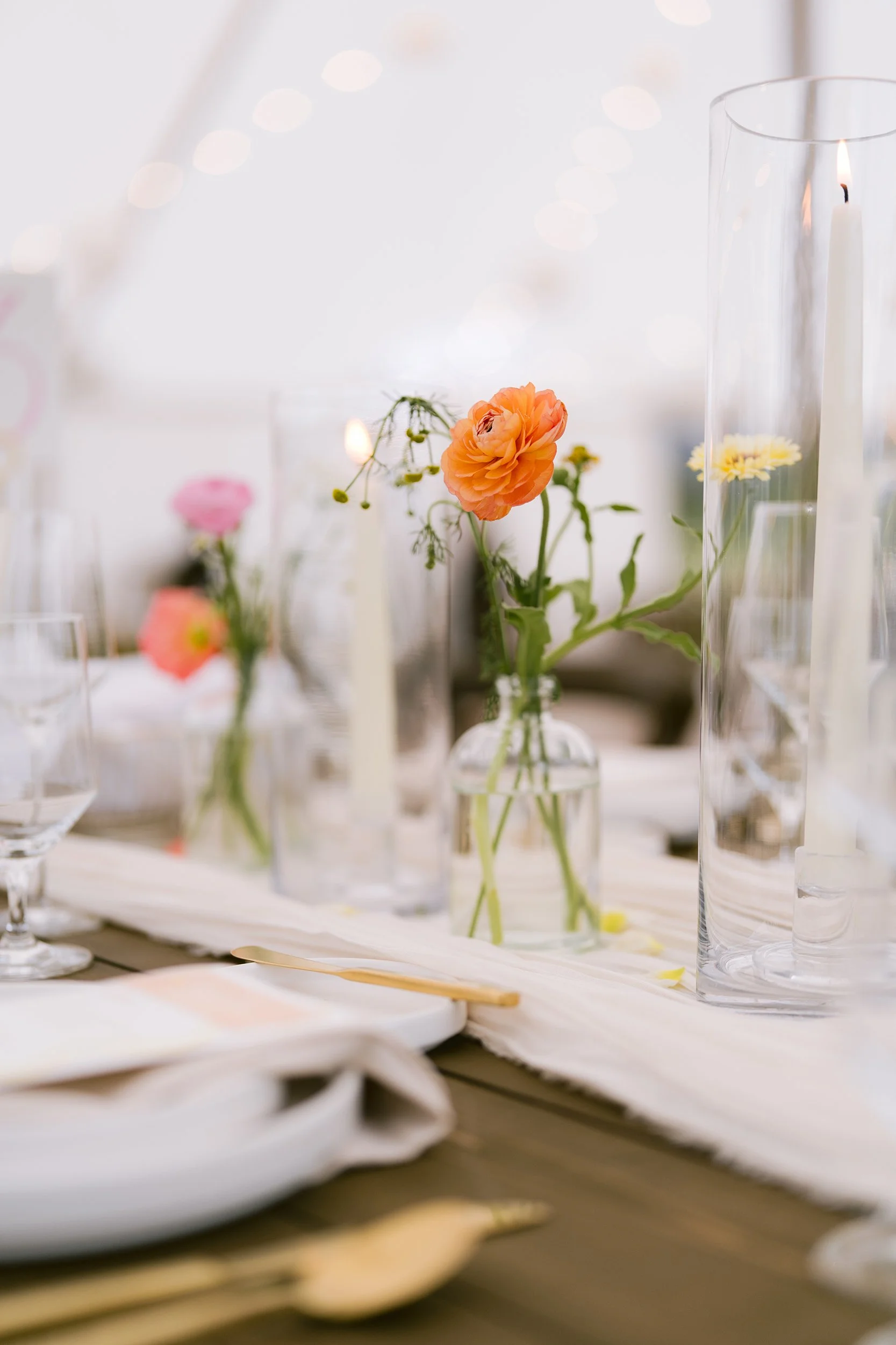 Anna Ray 2024SM_00576.jpg