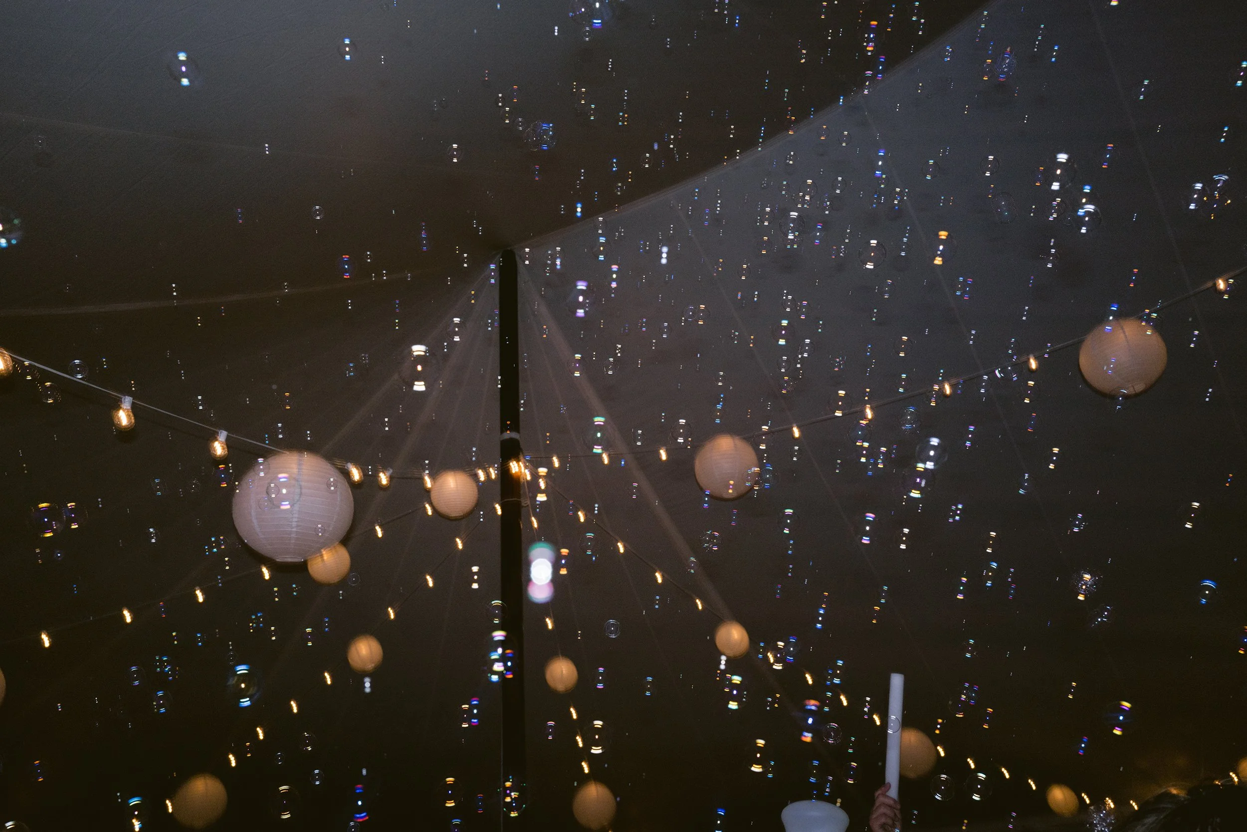 Anna Ray 2024SM_00119.jpg