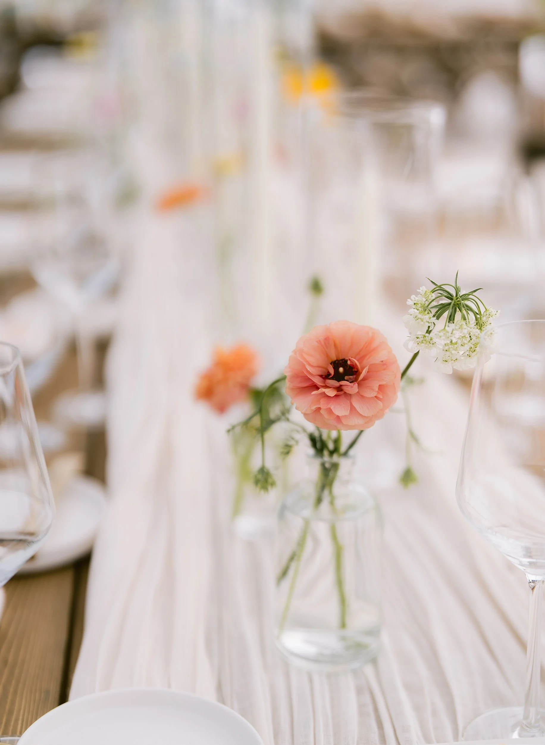 Anna Ray 2024SM_00076.jpg