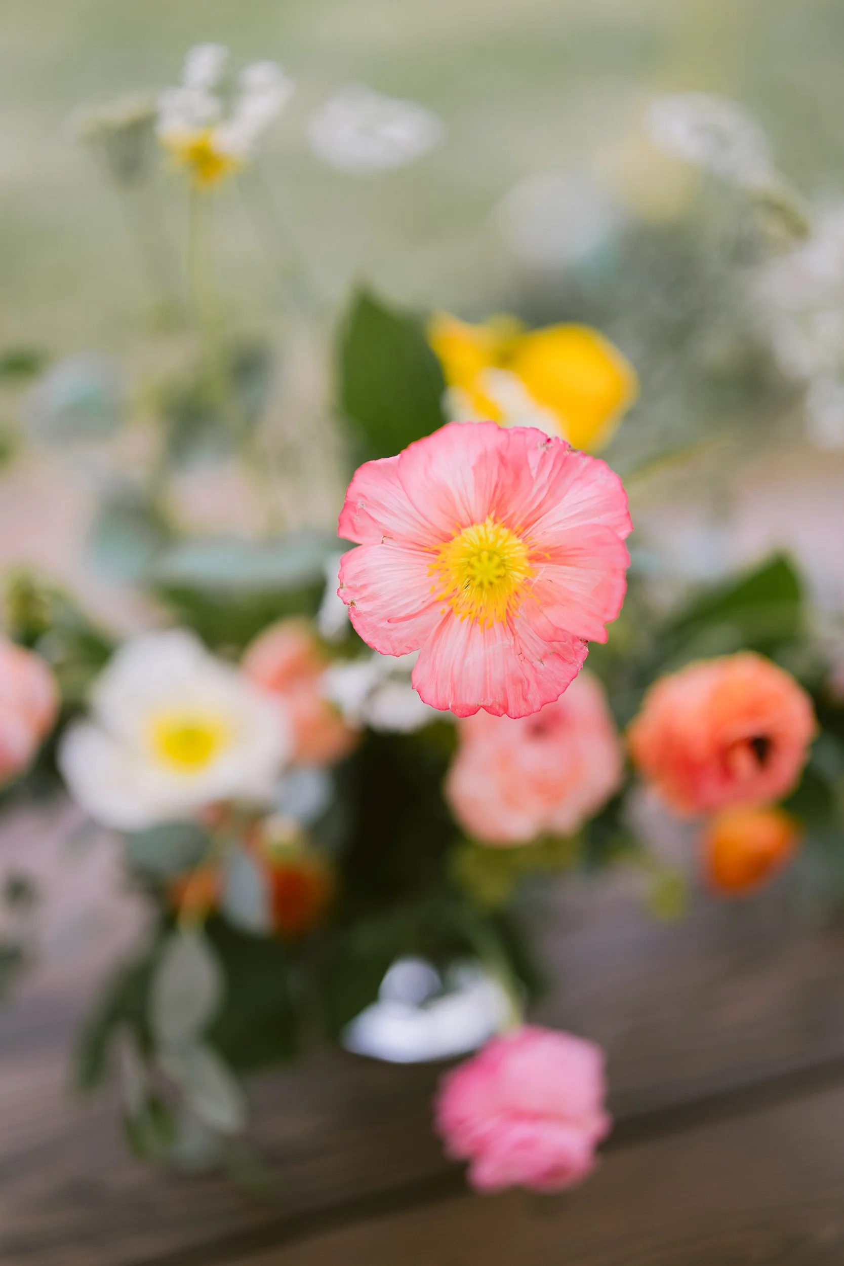 Anna Ray 2024SM_00086.jpg