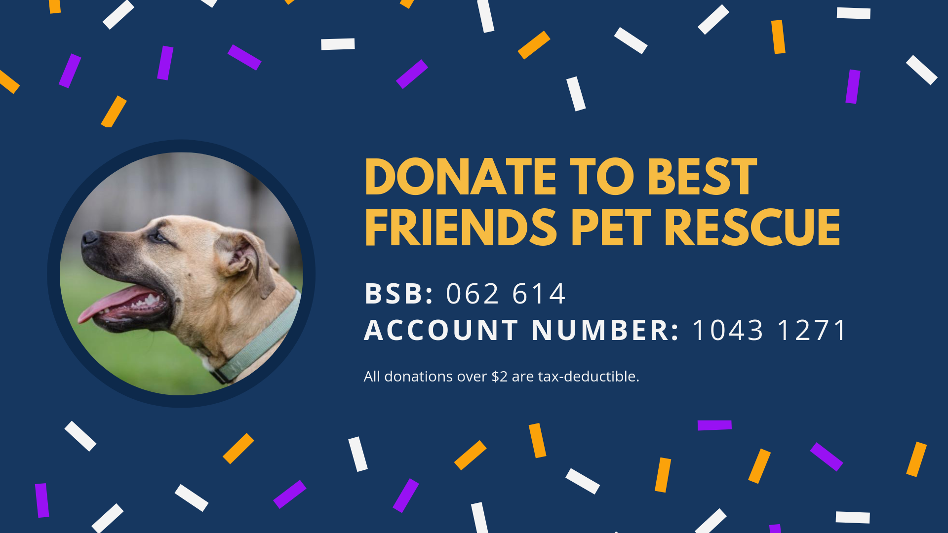 Make A Donation — Best Friends Pet Rescue | Rescues, fosters, and rehomes |  Wagga Wagga, Canberra and Goulburn