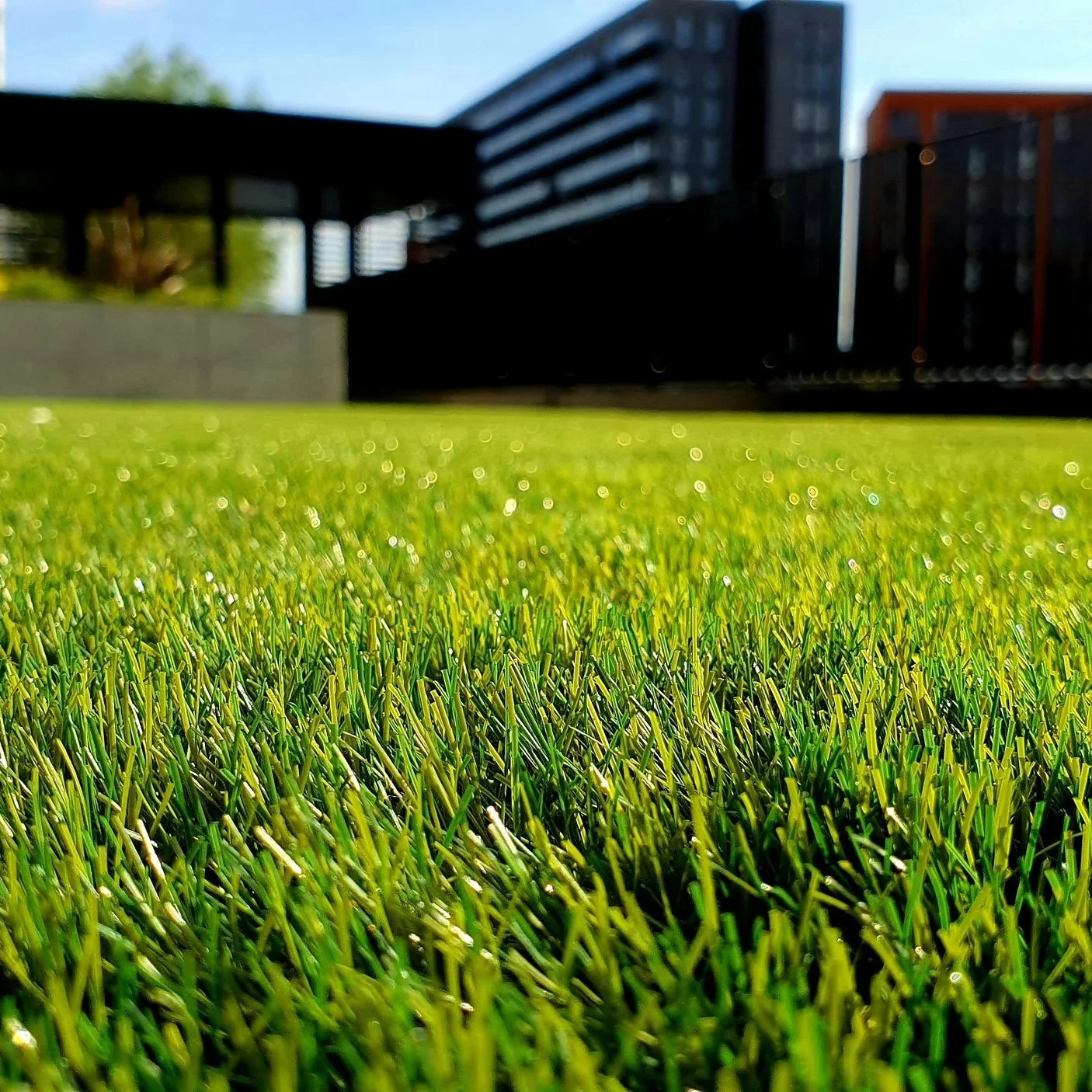Close-up of artificial green grass outdoors with buildings and trees in the background.