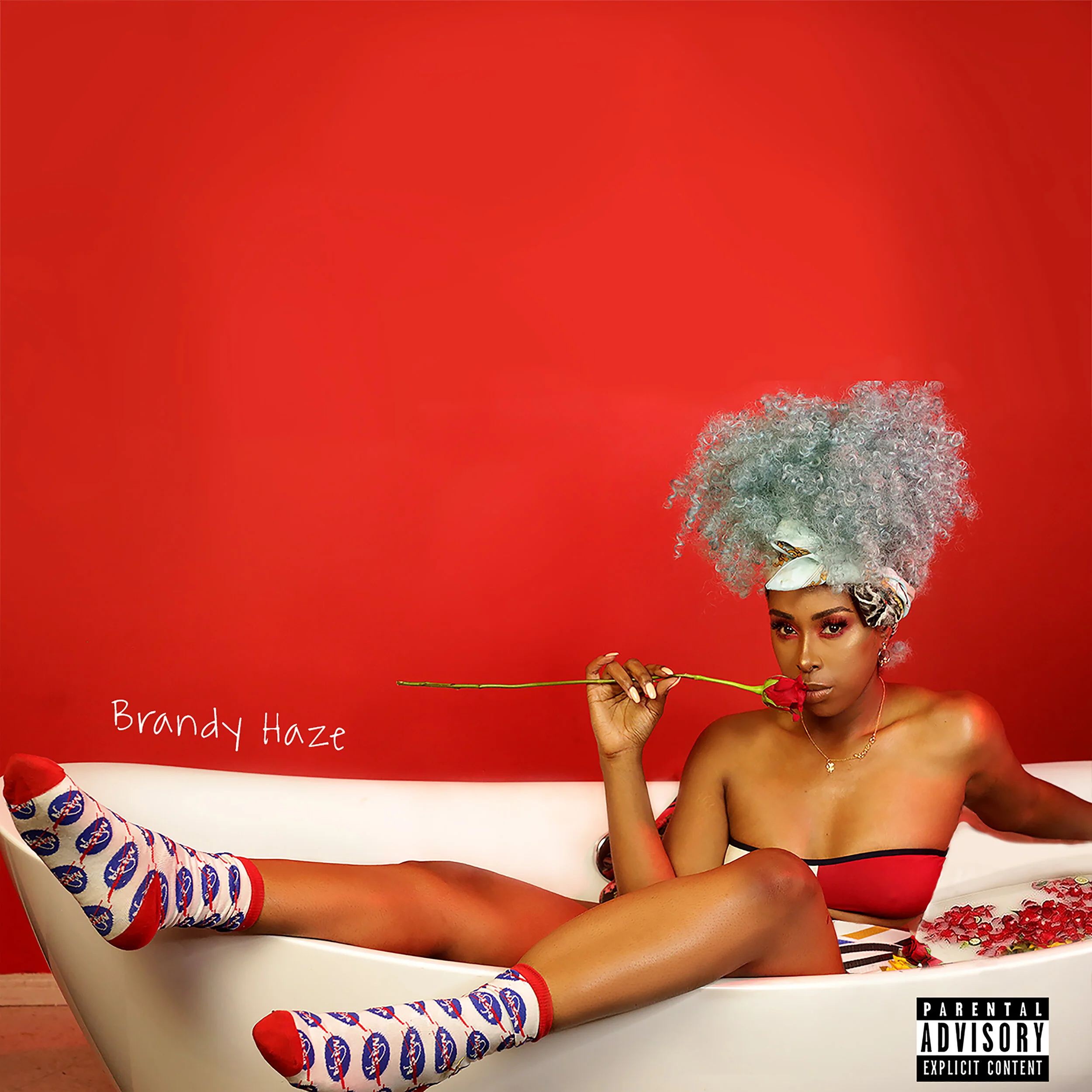 MUSIC — BRANDY HAZE