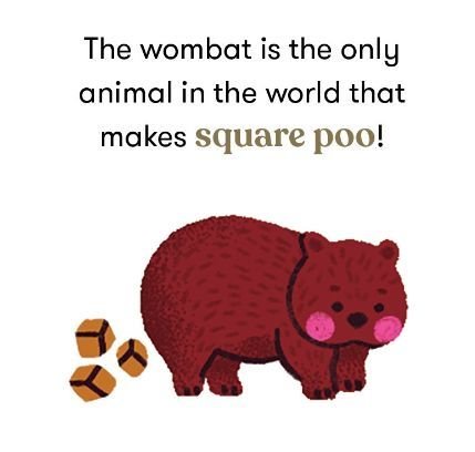 Did you know this about wombats? 💭🤭⁠
⁠
In the 4th month of the year, we wanted to share this fun fact about the only poo in the world that features this special 4-sided shape. When you look around, it really is so interesting to think about the way