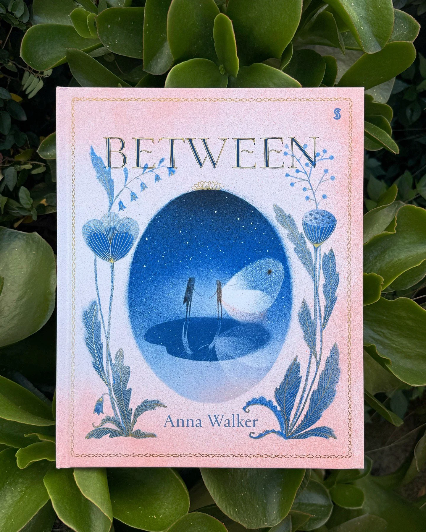 🎉PUBLICATION DAY

Between day and night...⁠
⁠
A cabbage moth and a cricket meet for the first time in the quiet space between twilight and dawn. As the unlikely pair discover each other's worlds, friendship blooms in unexpected places.⁠
⁠
From award