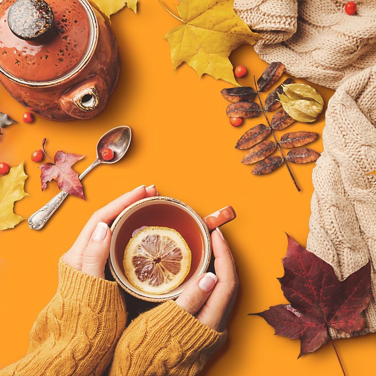 With Fall, comes cooler air, beautiful fall foliage 🍁🍃 and shorter days &ndash; making it feel there isn&rsquo;t enough time for ourselves. Don&rsquo;t forget your #selfcare rituals, make them a top priority, eat #immunity boosting foods, munch on 