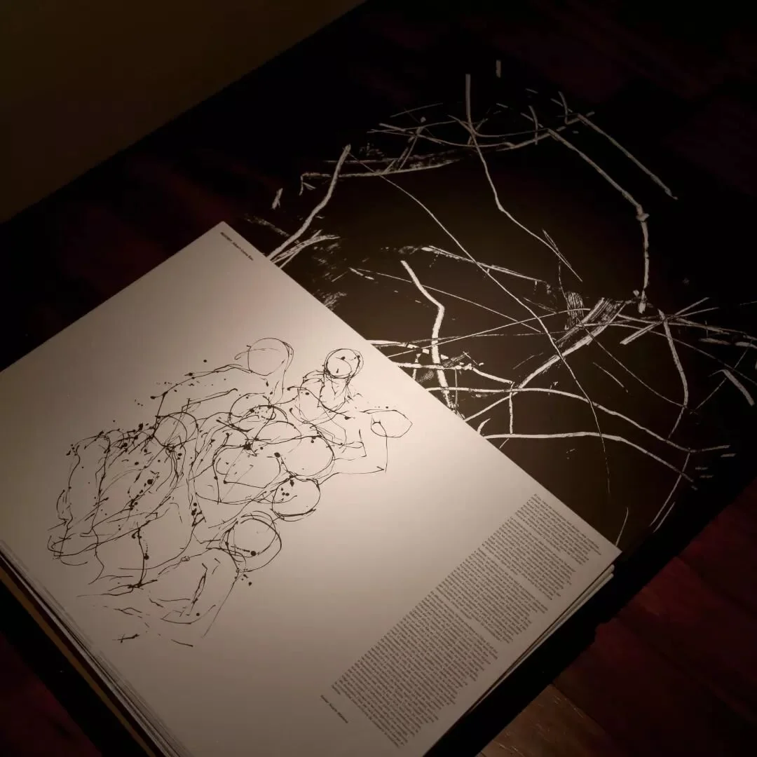 &Uacute;ltim cap de setmana per visitar l'exposici&oacute; IND&Oacute;MIT de l'@albertcomabau al @museuartpellvic Ens hi trobem!
P&ograve;ster IND&Oacute;MIT text @xavieracar&iacute;n 
disseny gr&agrave;fic @canocunill

Last weekend to be able to vis