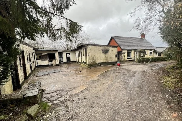 Dreams can come true: Kim’s journey from cancer recovery to her dream smallholding