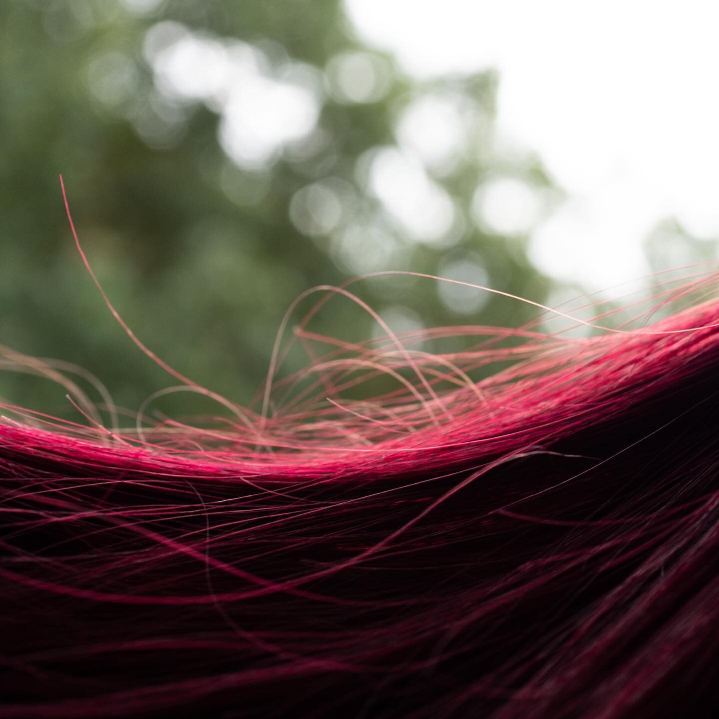 Scientific Paper of the month - Artificial Intelligence in hair research

Exciting new research conducted by the Cosmetic Science Research Group at the University of the Arts London has recently been published. The study, led by Gabriela Daniels, foc