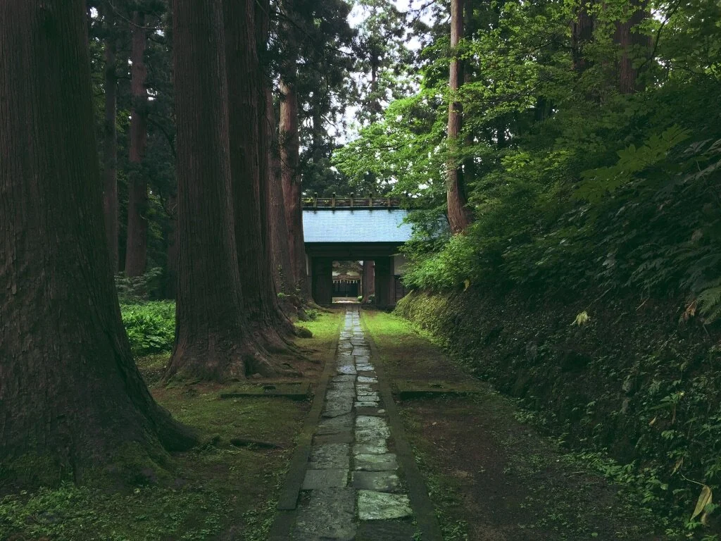 A stone pathway leading to a traditional Japanese gate or shrine, surrounded by tall trees and lush green foliage.
