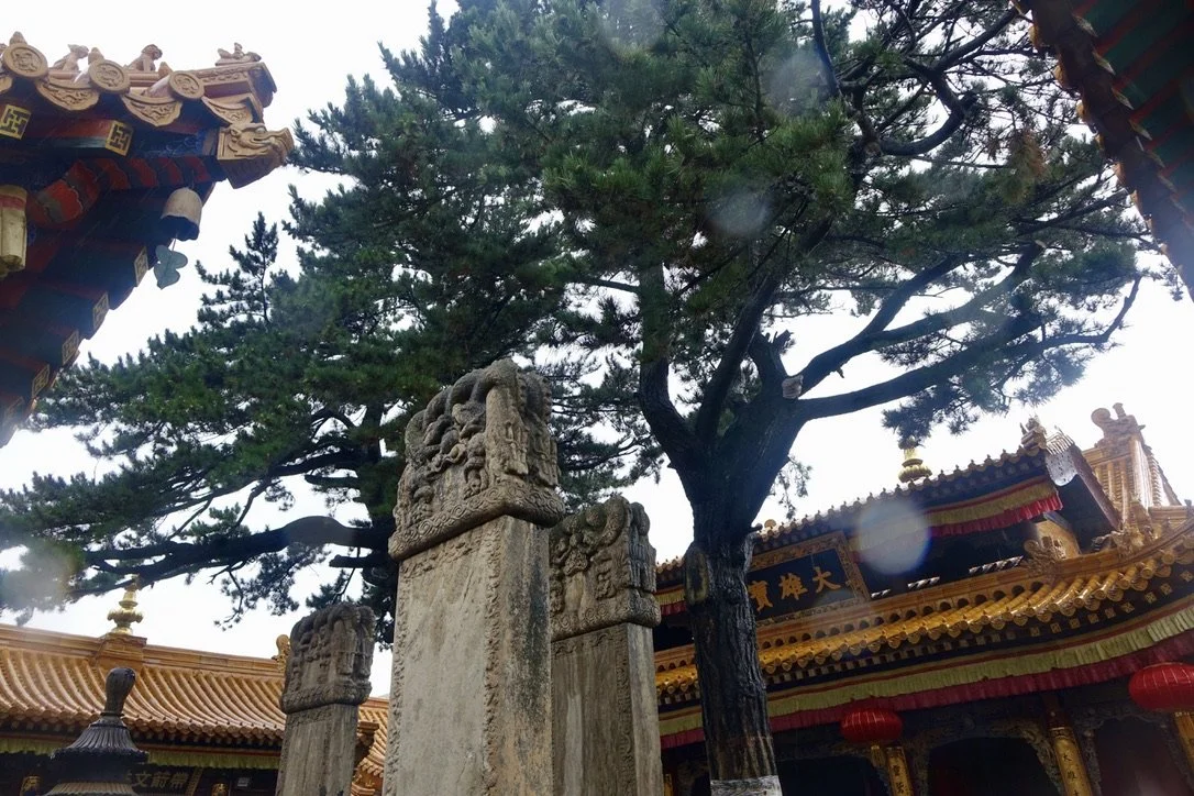 View of traditional Chinese temple with ornate roof and red lanterns, stone carvings, and a large pine tree in the courtyard.