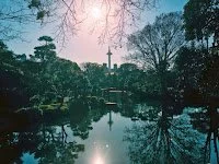 Notes from the field on Christmas