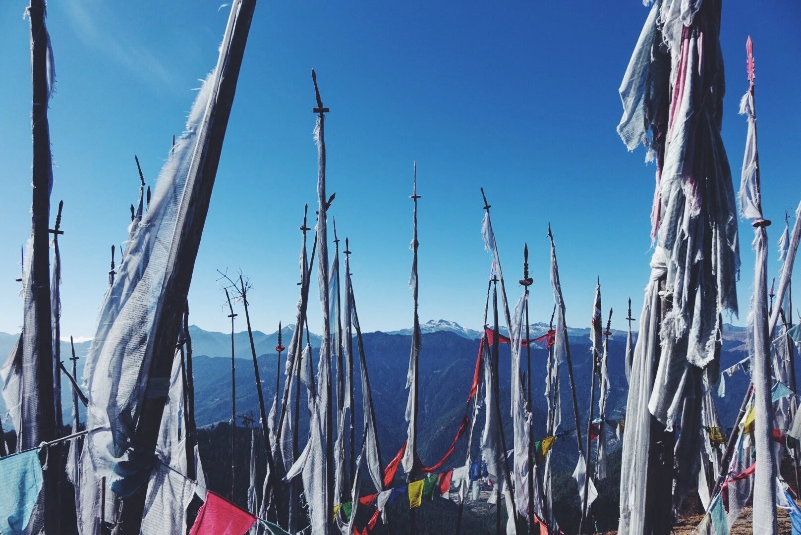 The Wind Horses of Bhutan