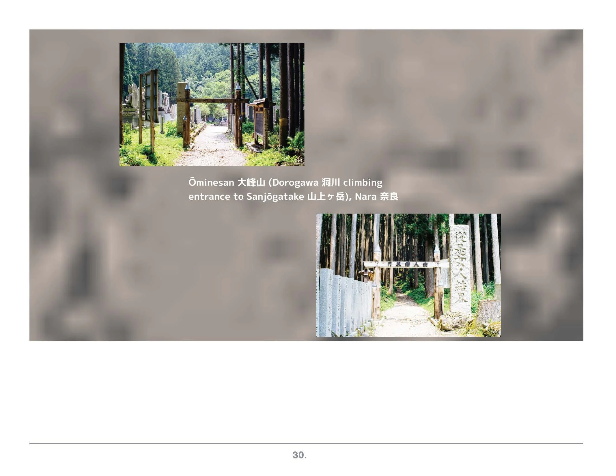 Fuji as window to Japan_Page_30.jpg