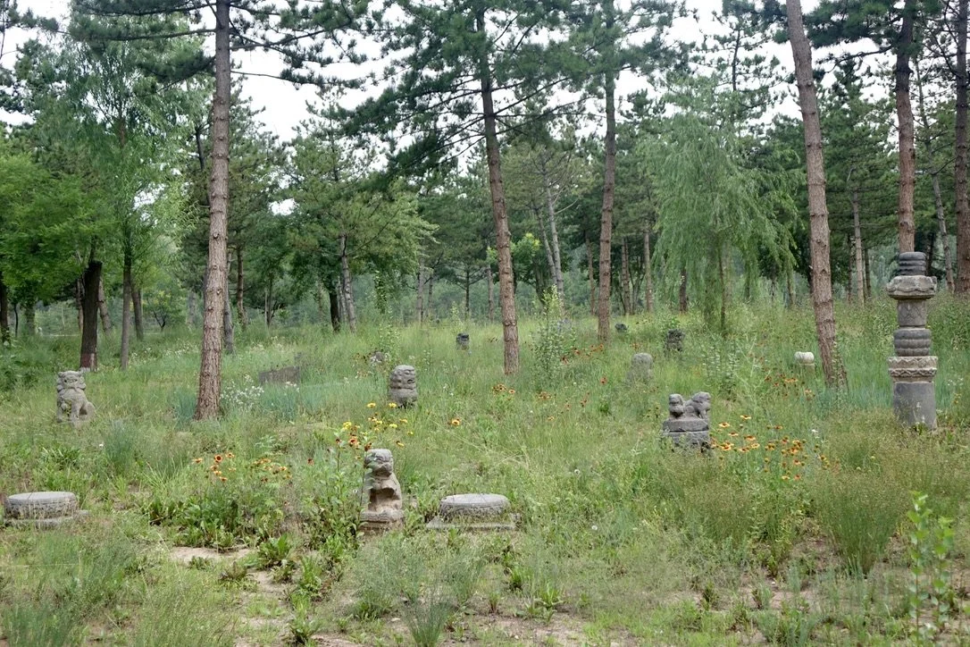 Woodland area with tall pine trees, and small stone statues scattered among wildflowers and green grass.