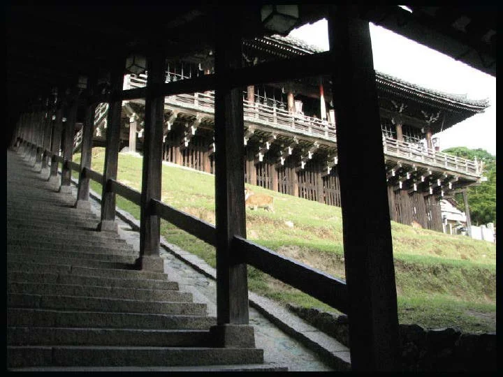 Daibutsu Lotus Petals, Shunie_Page_29.jpg