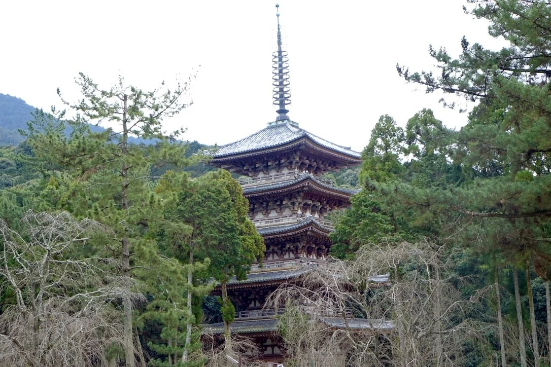 A traditional Japanese pagoda surrounded by evergreen trees and mountains in the background.