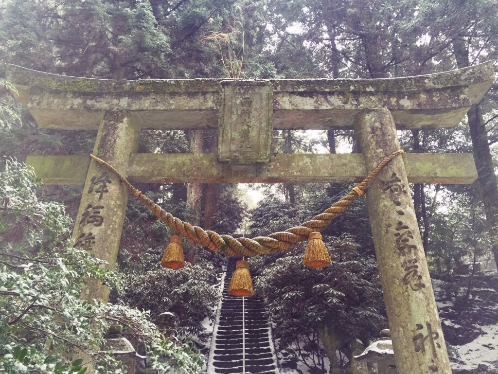 A traditional Japanese torii gate covered in moss, with a rope and tassels hanging across its entrance, situated in a snowy forested area with stairs leading up through the trees.