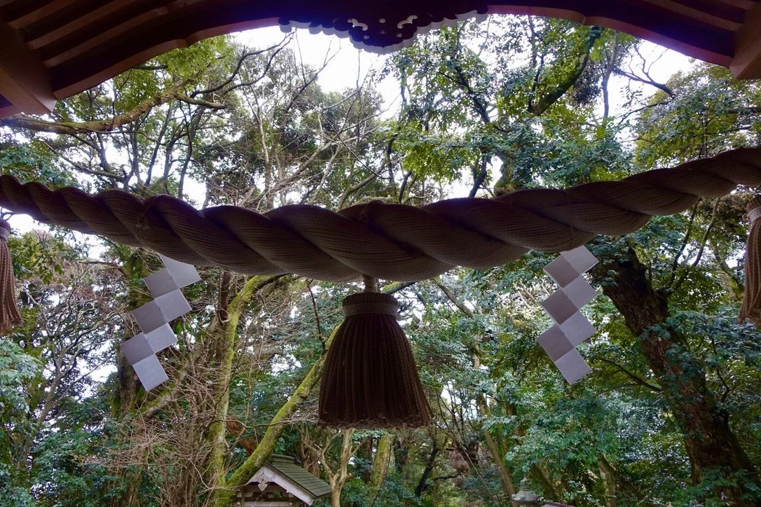 Close-up of a traditional Japanese Shinto shrine decoration with a twisted straw rope and paper streamers hanging from it, set against a background of trees and foliage.