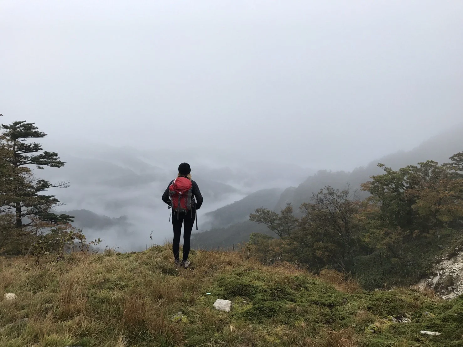 A person with a red backpack standing on a grassy hill overlooking foggy mountains and trees.