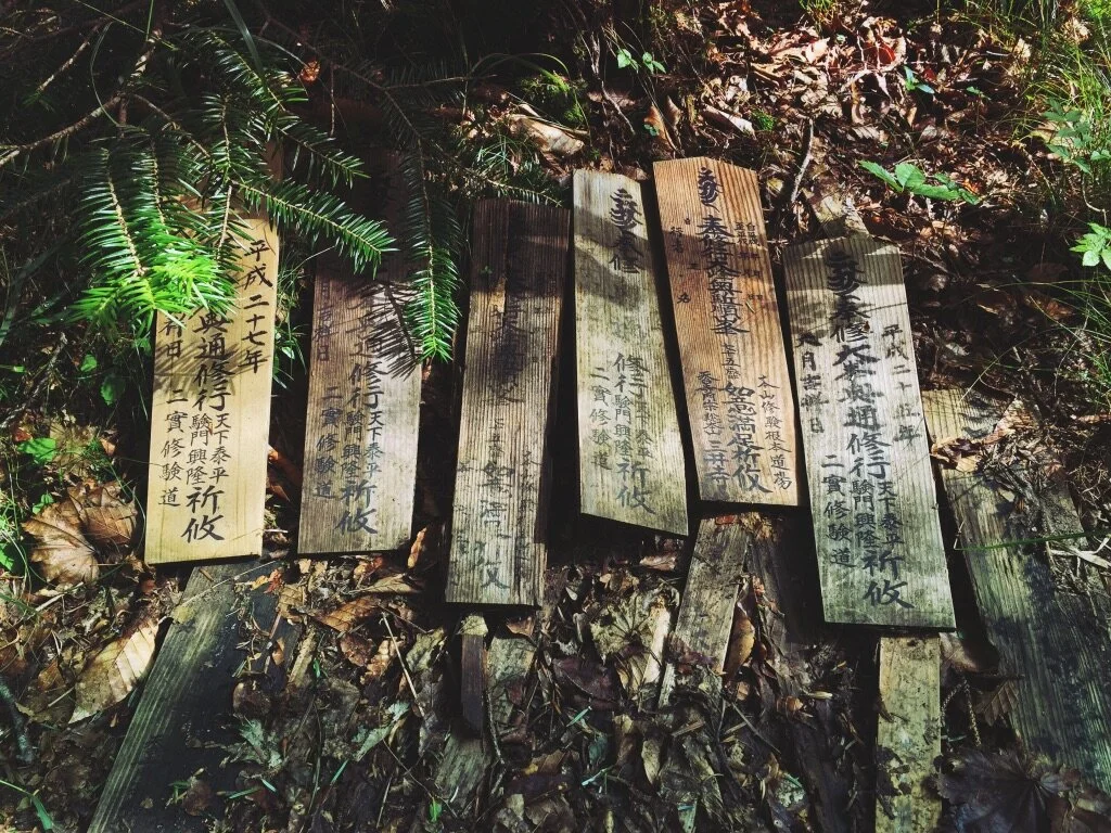 Several wooden prayer plaques with Japanese writing, placed on the ground among forest leaves and plants.