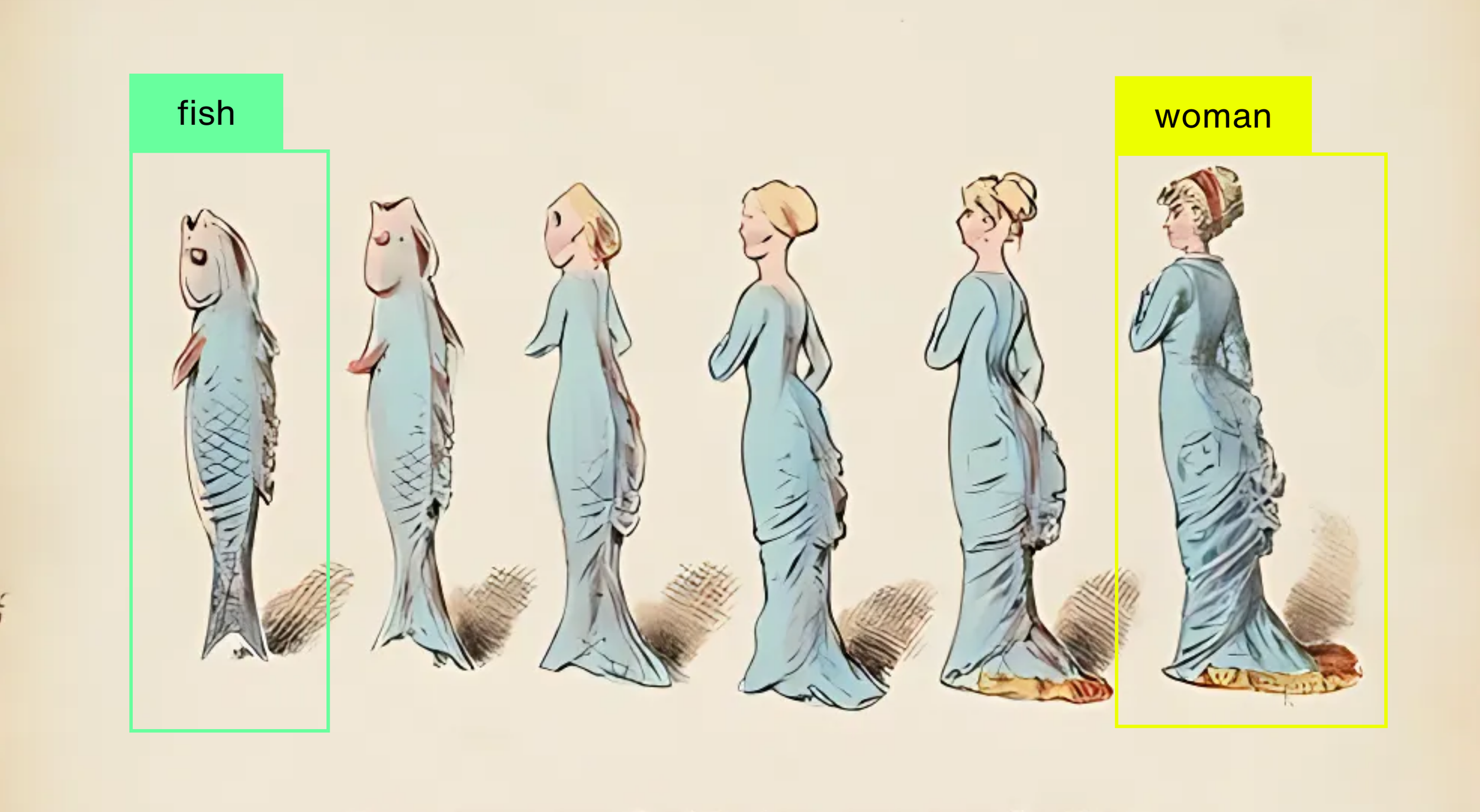 A sequence of six women with fish in place of heads, each dressed in similar blue dresses, standing in profile with hands on hips, facing to the right. The first woman on the left has a fish head, labeled 'fish,' and the last woman on the right has a woman head, labeled 'woman.'