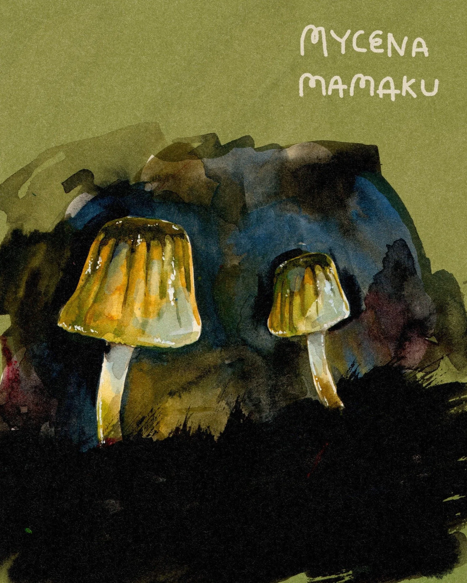 If anyone would want a full book of mushroom drawings PLEASE let me be your gal.

A sketchbook spread based on a pic from @liv_sisson 's Fungi of Aoteaora &ndash; so many coool freaky little guys in this pukapuka! I know it's not an original thought,