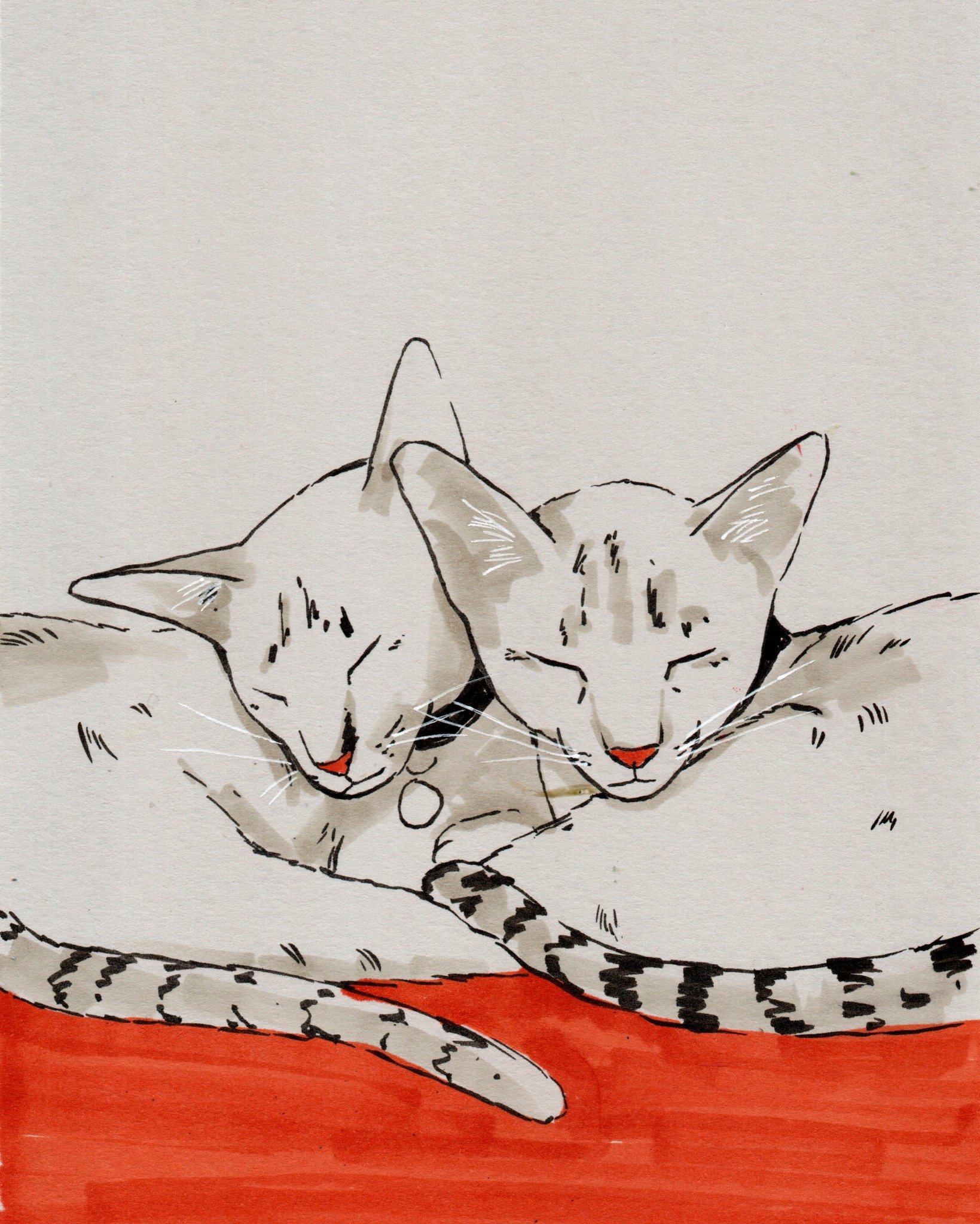 Pet portraits from 9.30am tomorrow at SPCA Mt Albert, discounts apply in exchange for puppy cuddles - or cuddles from other animals! But not people, that would be weird.

If you can't make it but want your pets immortalised like Maisie and Willow, me