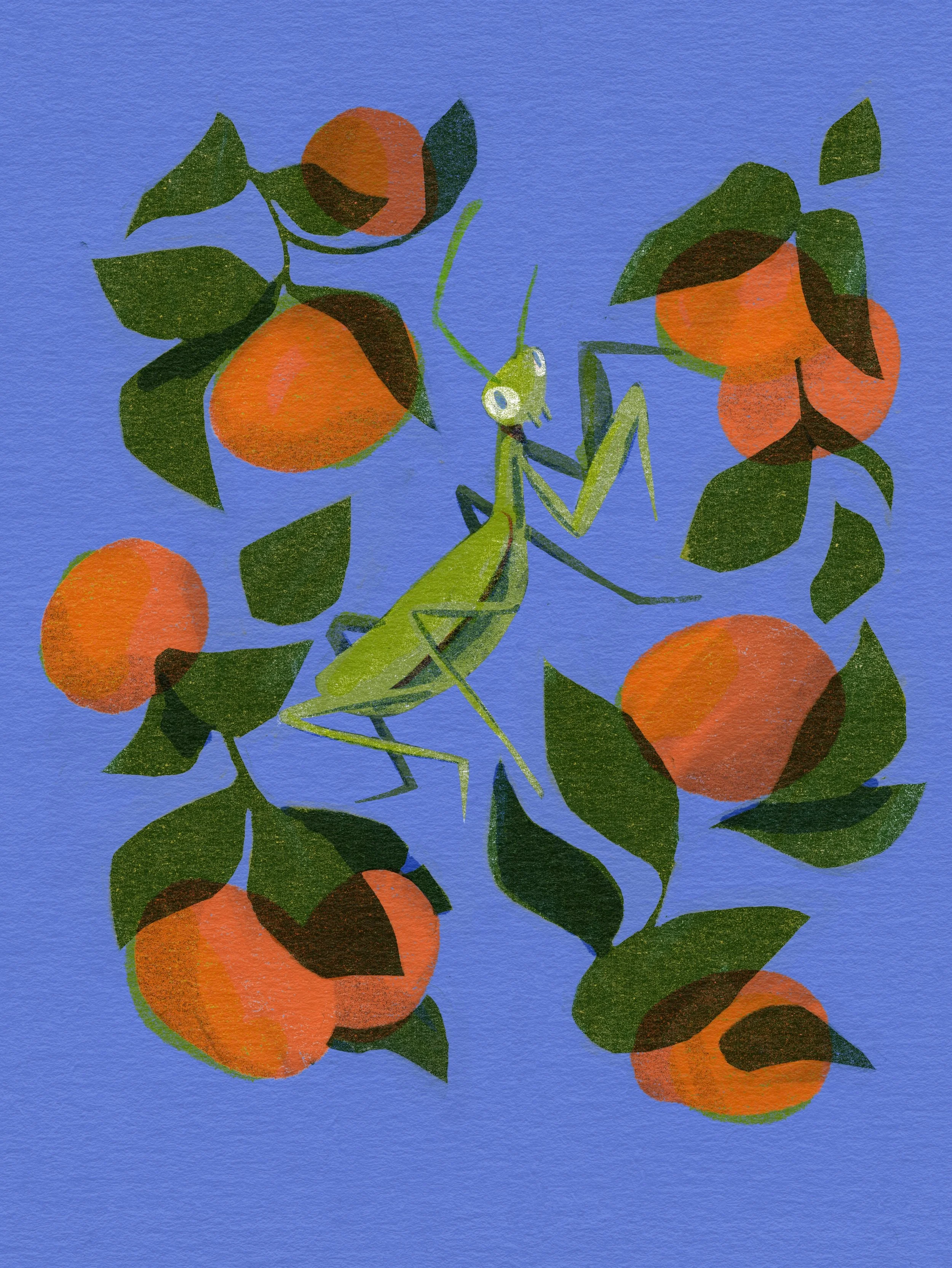 Risograph Mantis.jpg