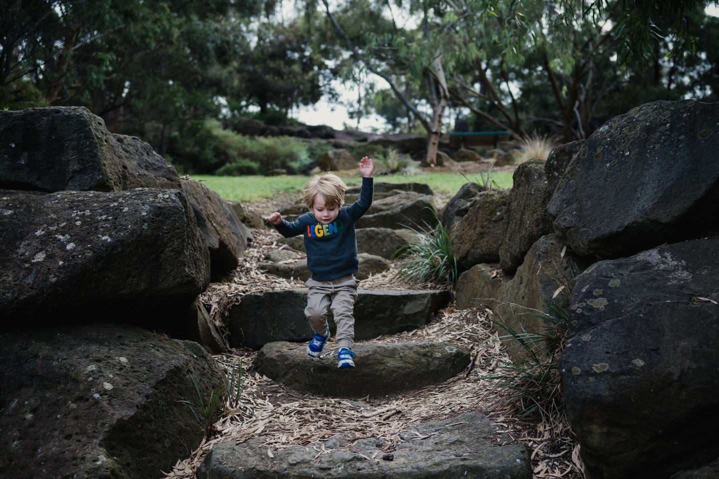 Exploring, jumping, climbing - your kids will have lots to do at my photo sessions! And they'll burn enough energy to have a chilled afternoon or an easy bedtime afterwards.... 😉

#melbournefamilyphotographer #capturingchildhood #melbournefamilyphot