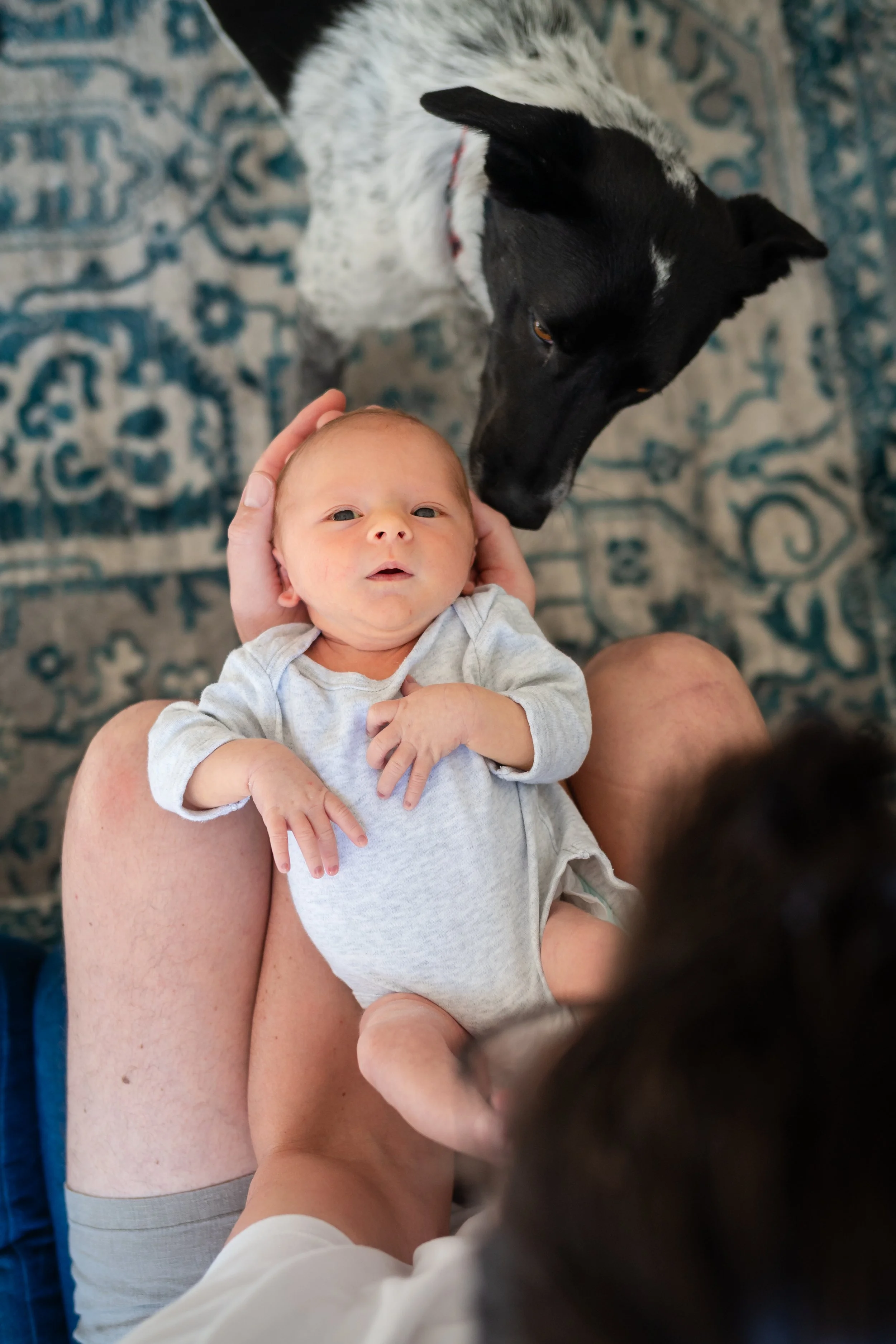 How to Choose the Right In Home Newborn Photographer in Melbourne