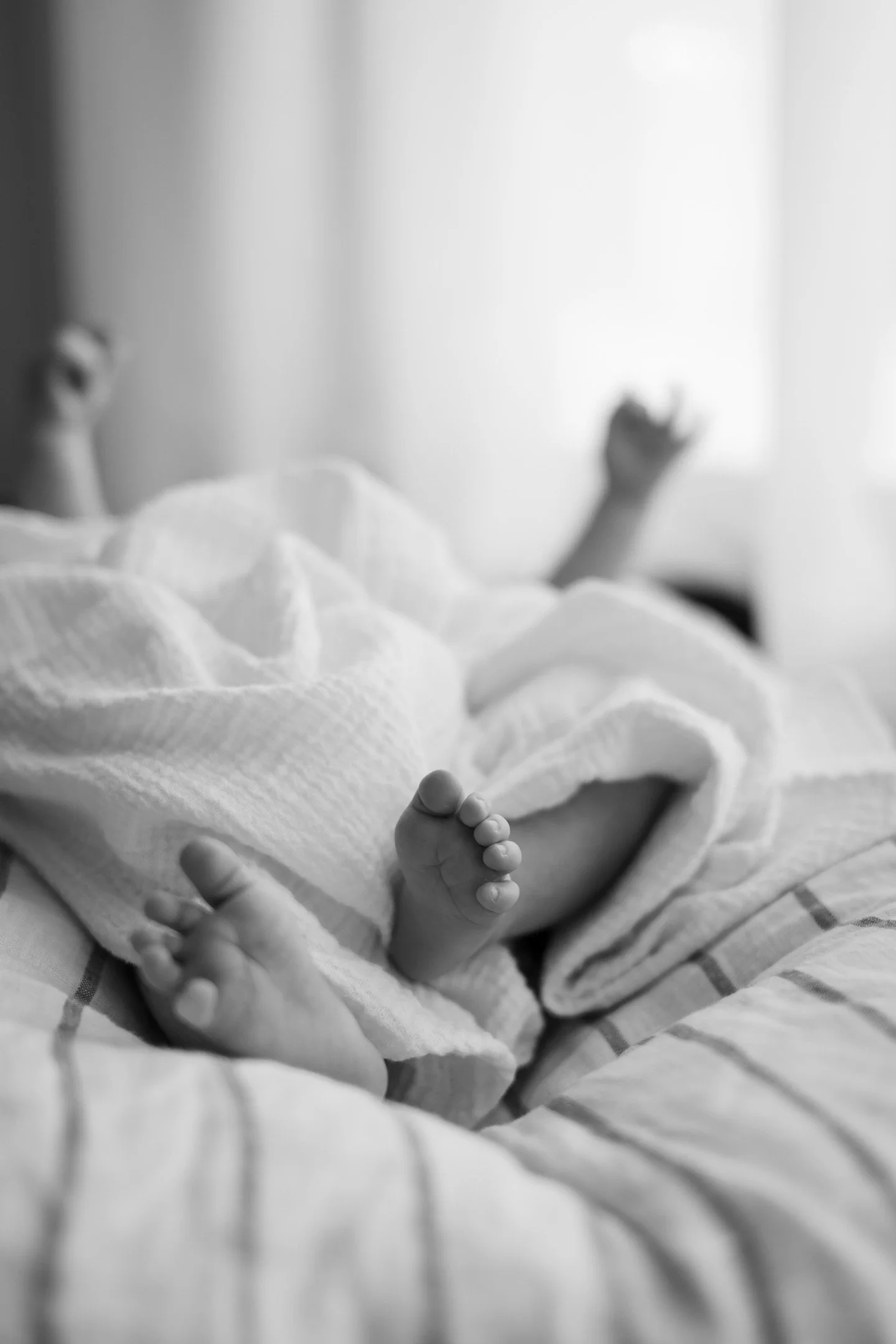 They&rsquo;re only this tiny for a moment.
That&rsquo;s the whole point 💛

#newbornphotographymelbourne #melbournenewbornphotographer #newmumlife #fourthtrimester #inhomephotography #melbournemums #documentyourdays