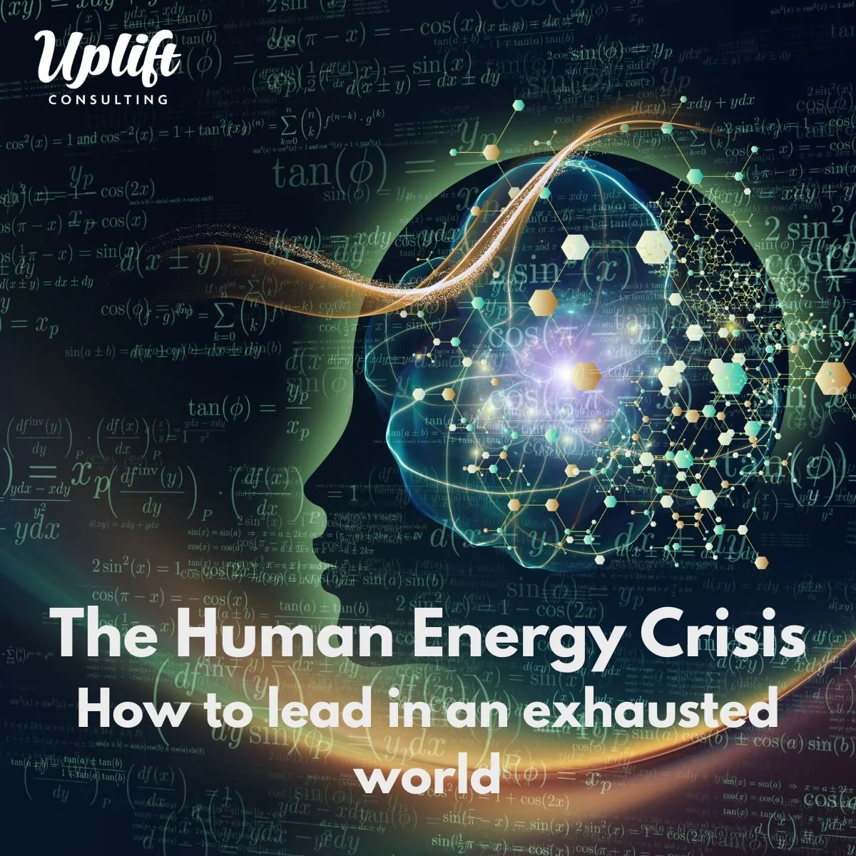 The Human Energy Crisis - How To Lead In An Exhausted World. - (Webinar)