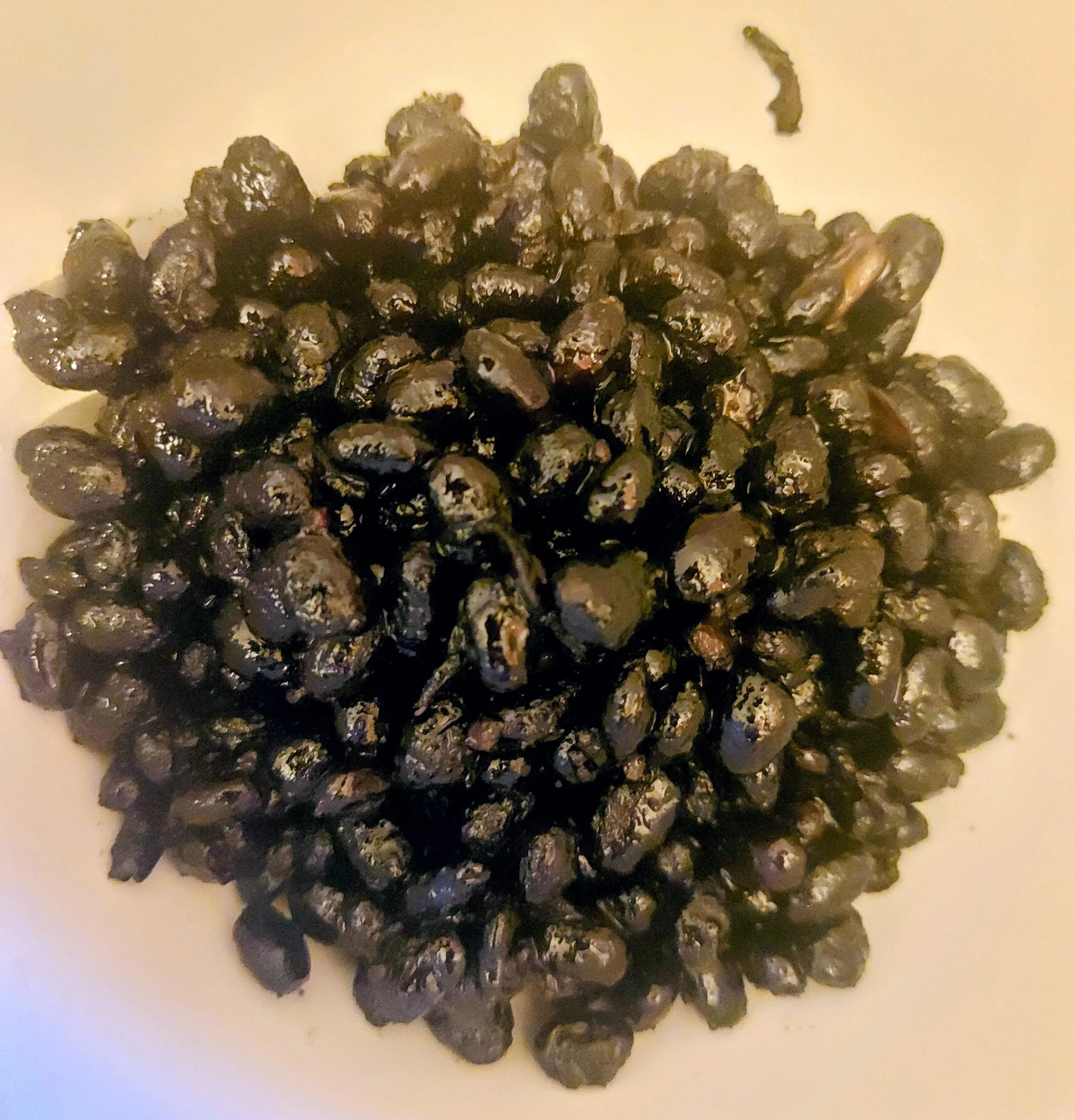 bowel-friendly black beans 