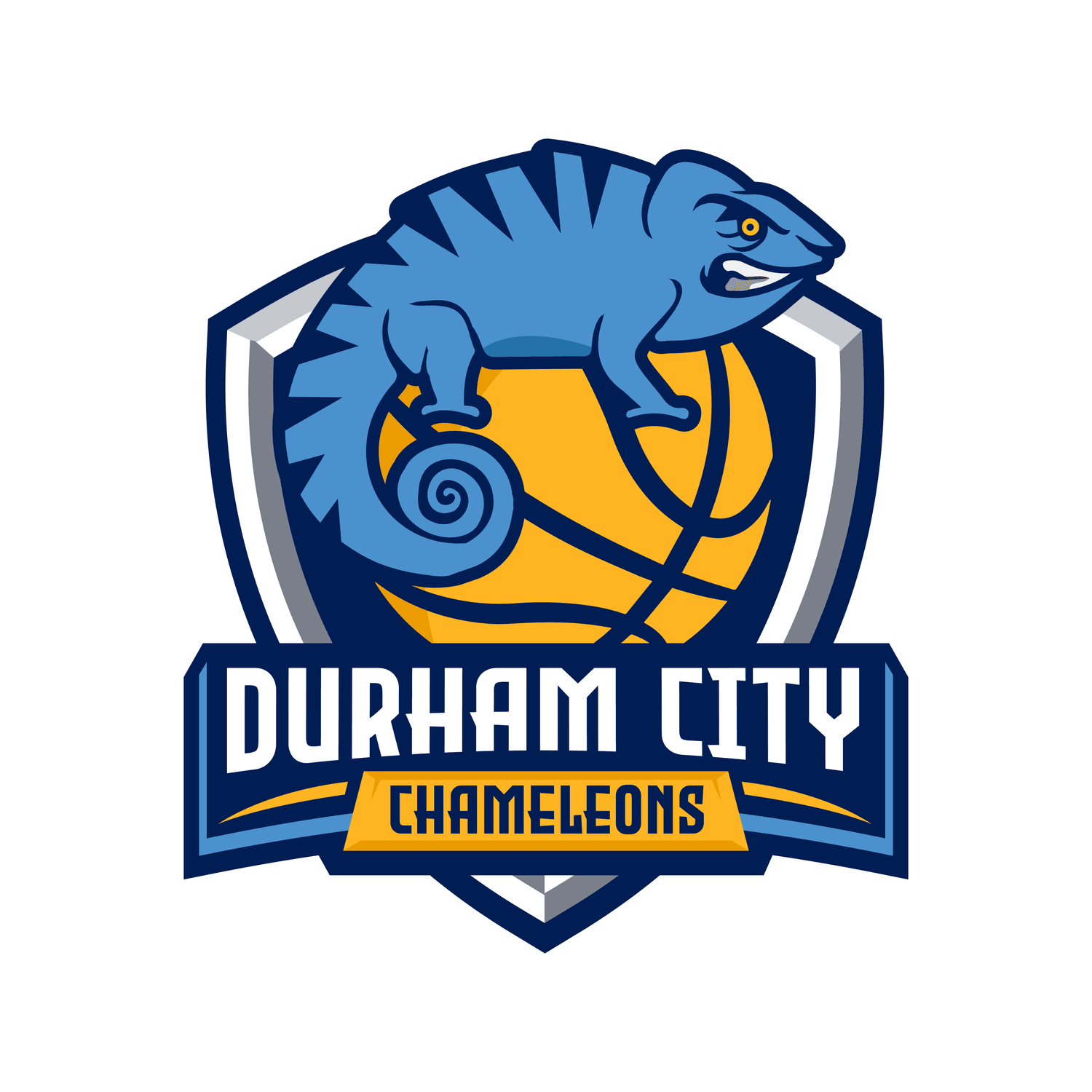 Chameleons Basketball