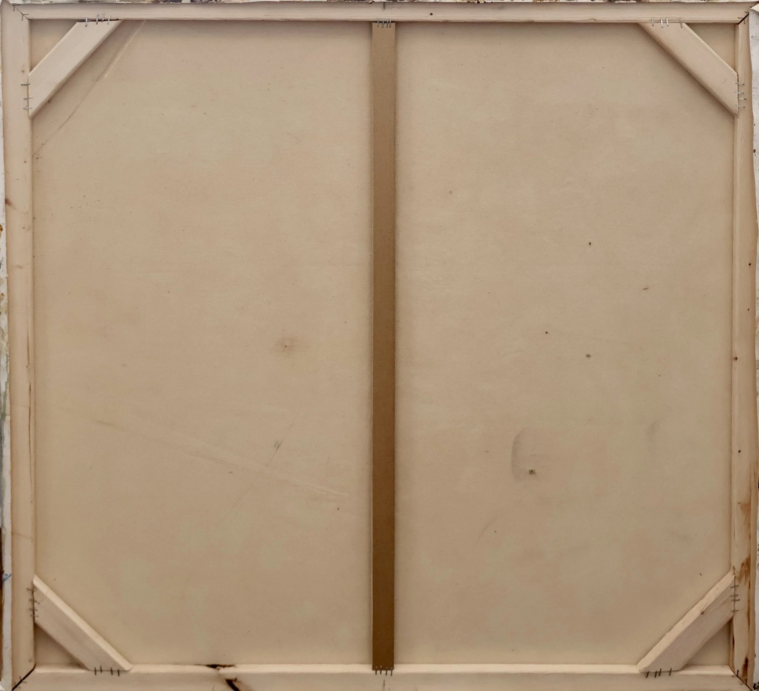 FReB0007 BACK.JPG